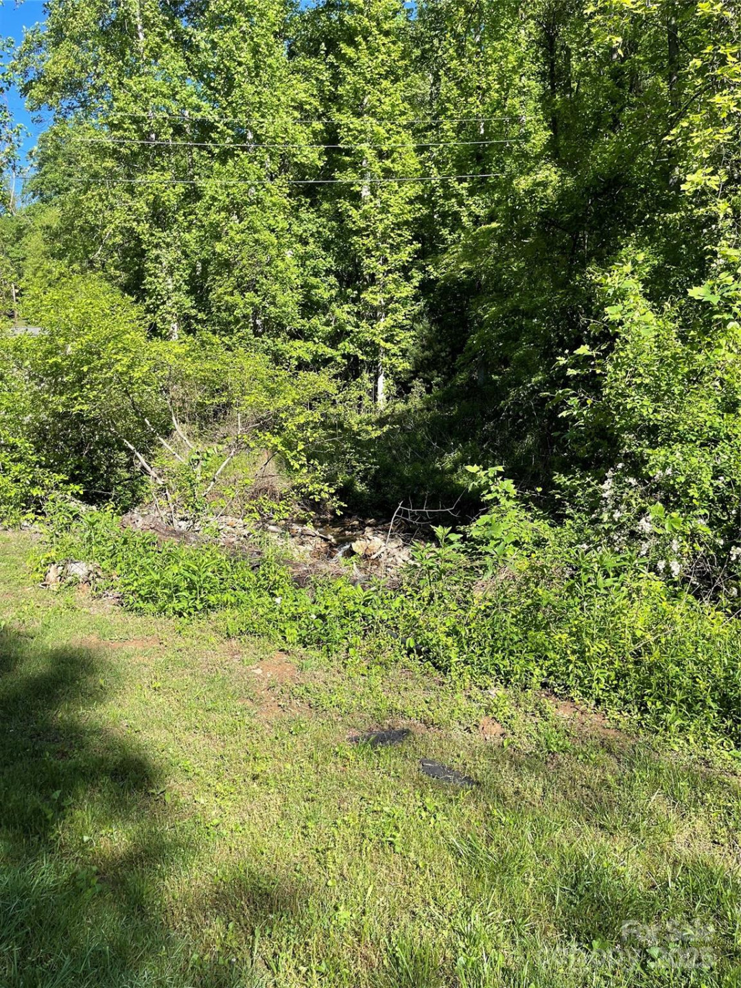 430 Warren Creek Road - Photo 4