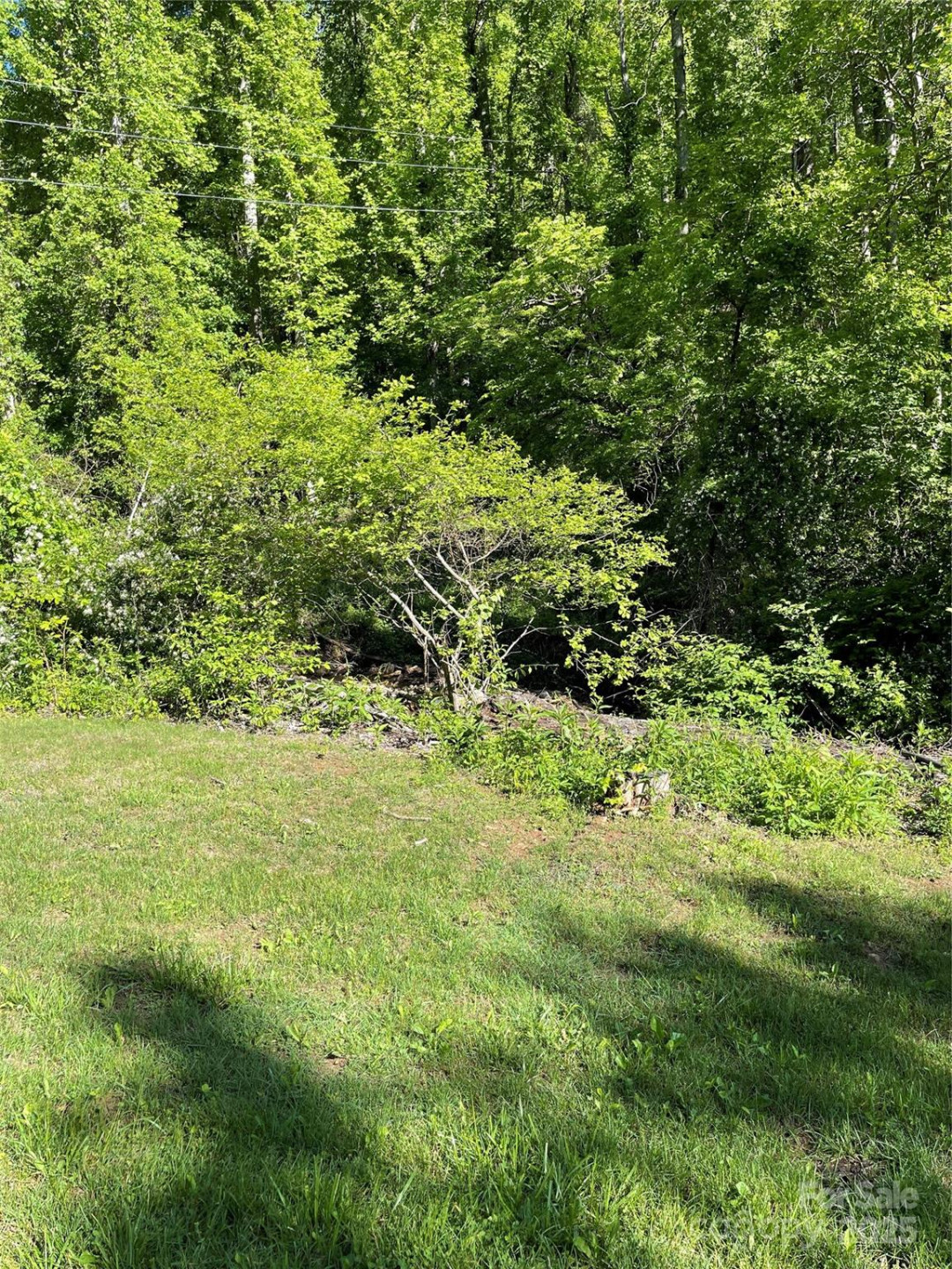 430 Warren Creek Road - Photo 5