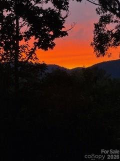 5 Saddle Ridge - Photo 46