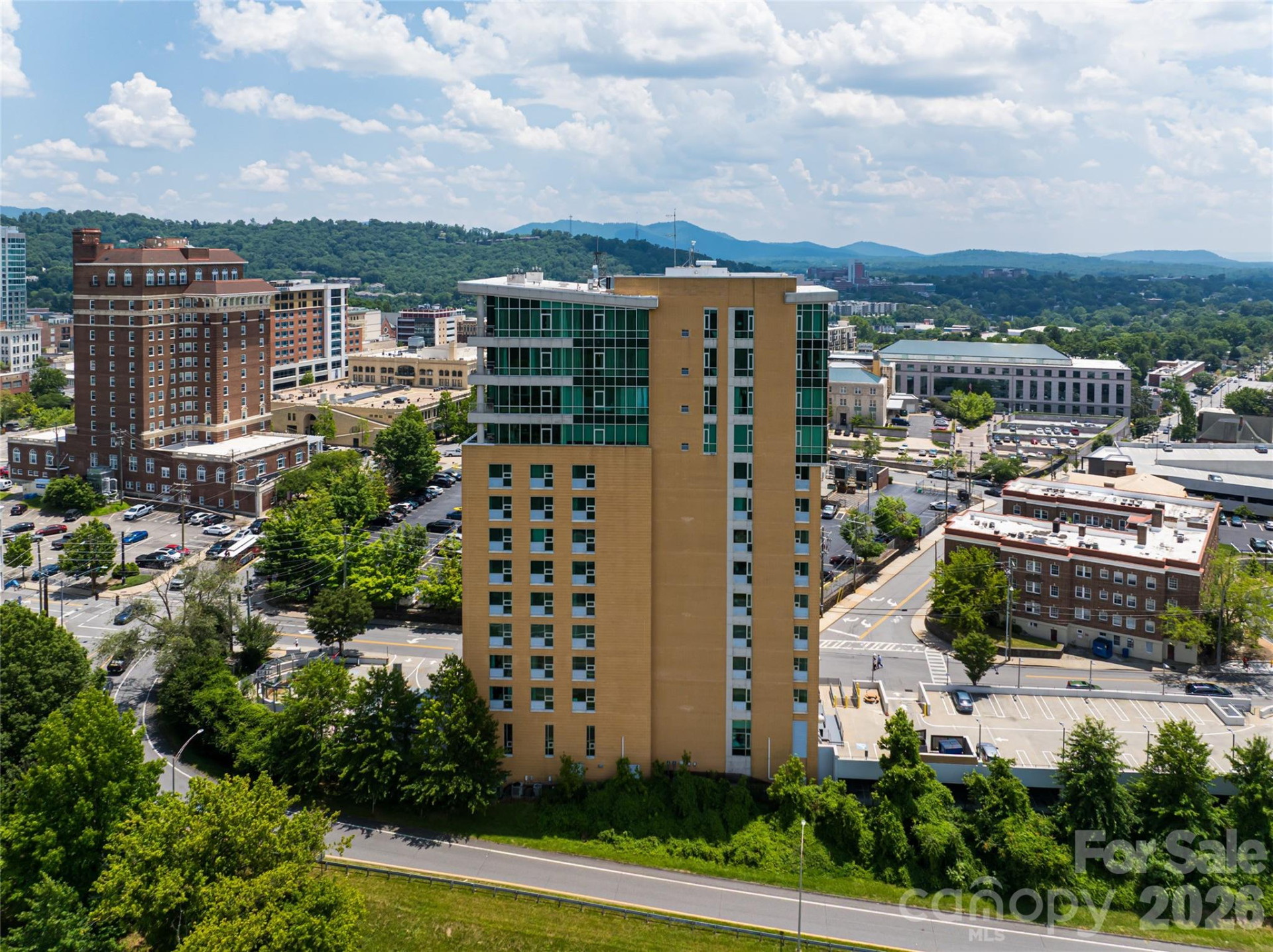 151 Haywood Street #1002 - Photo 30