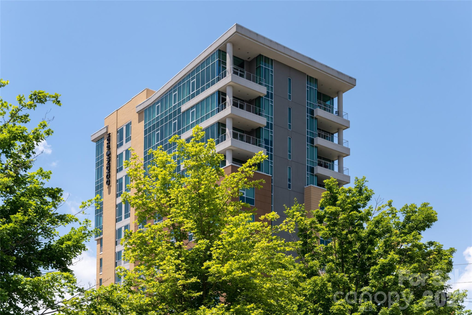 151 Haywood Street #1002 - Photo 46