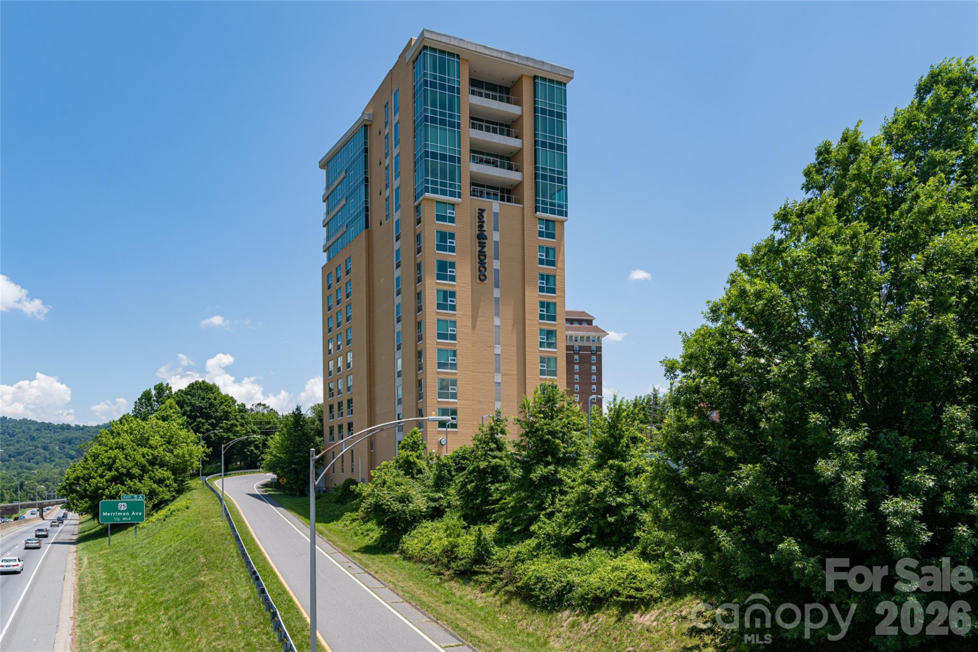 151 Haywood Street #1002 - Photo 48