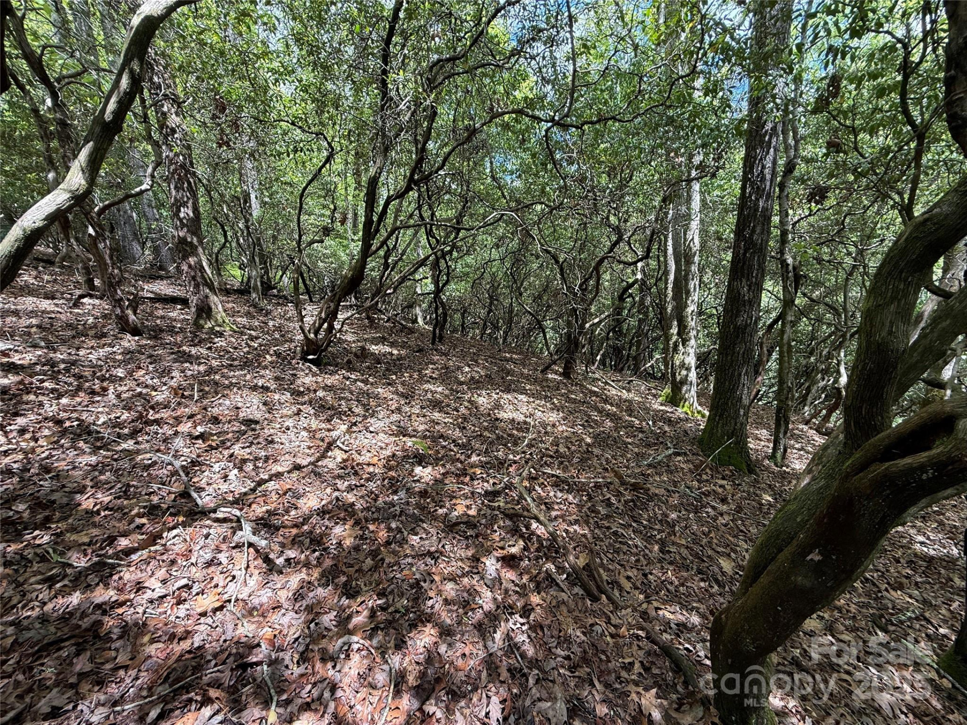 TBD Tellico Trail #42/22 - Photo 3