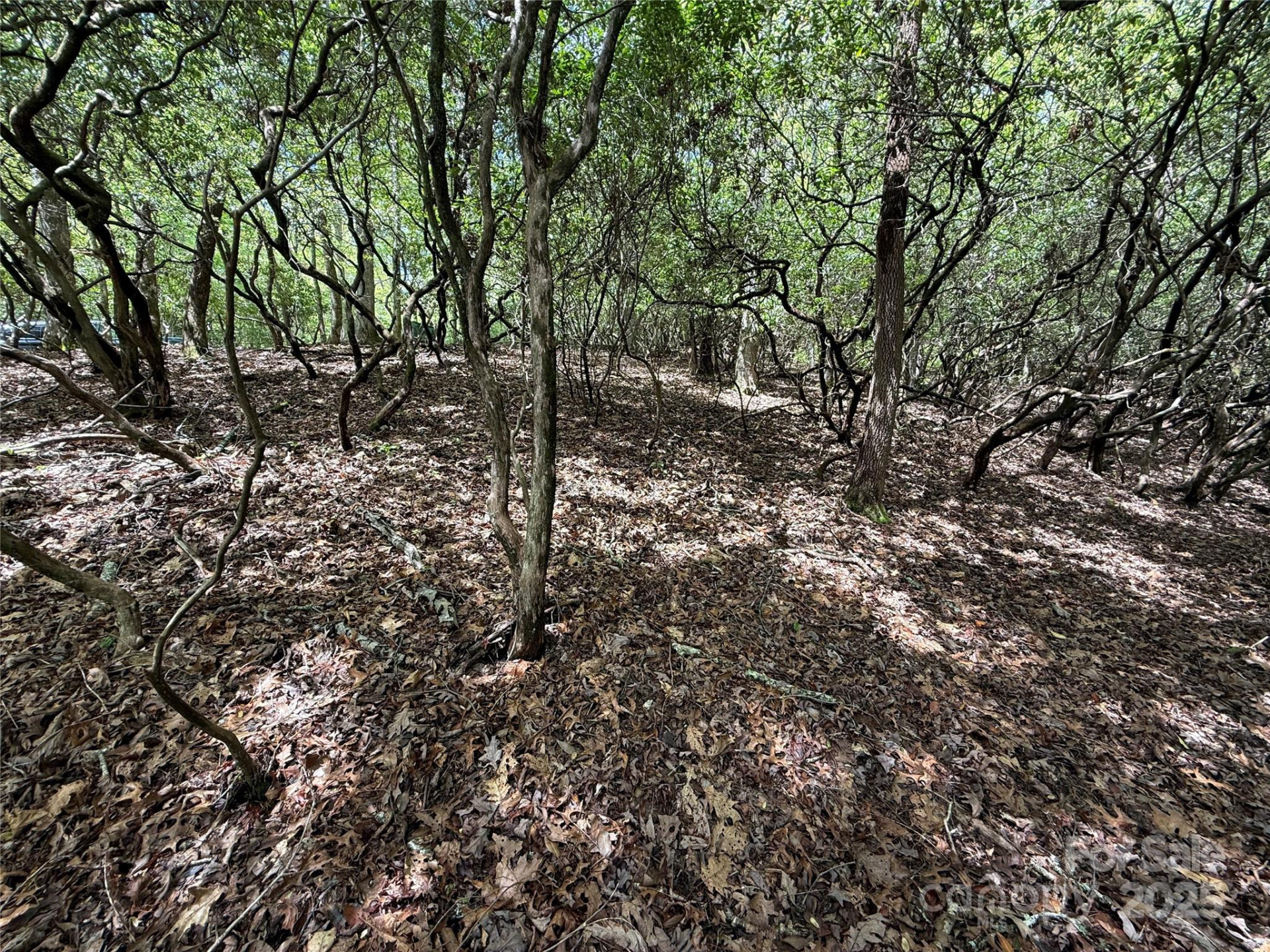 TBD Tellico Trail #42/22 - Photo 4