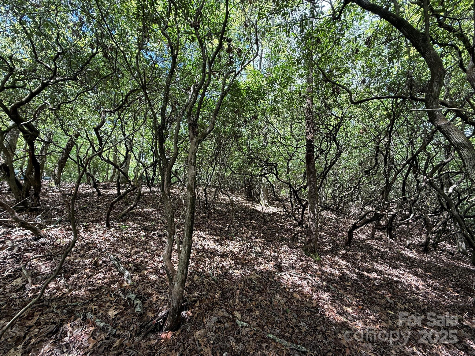 TBD Tellico Trail #42/22 - Photo 5