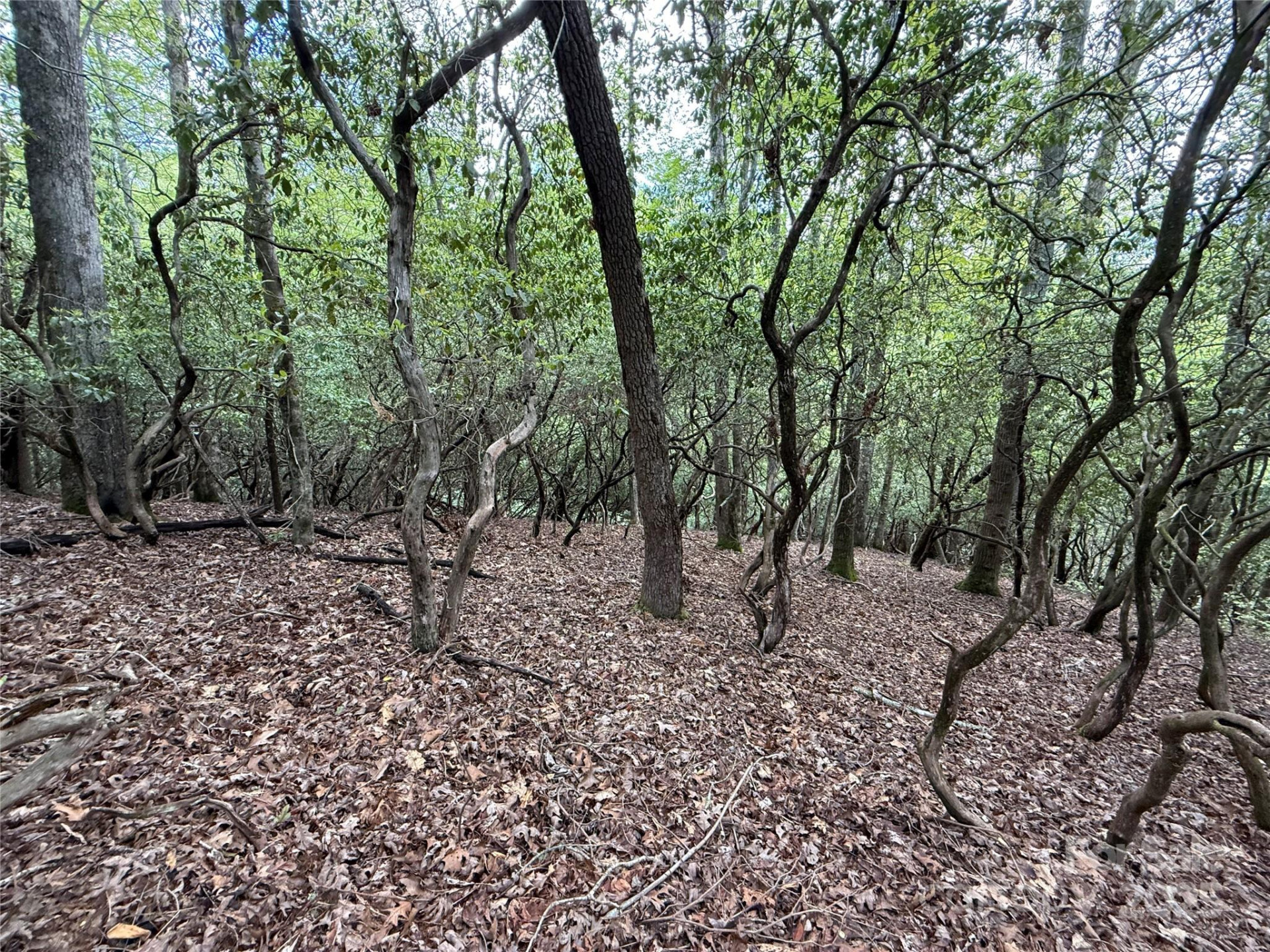 TBD Tellico Trail #42/22 - Photo 7