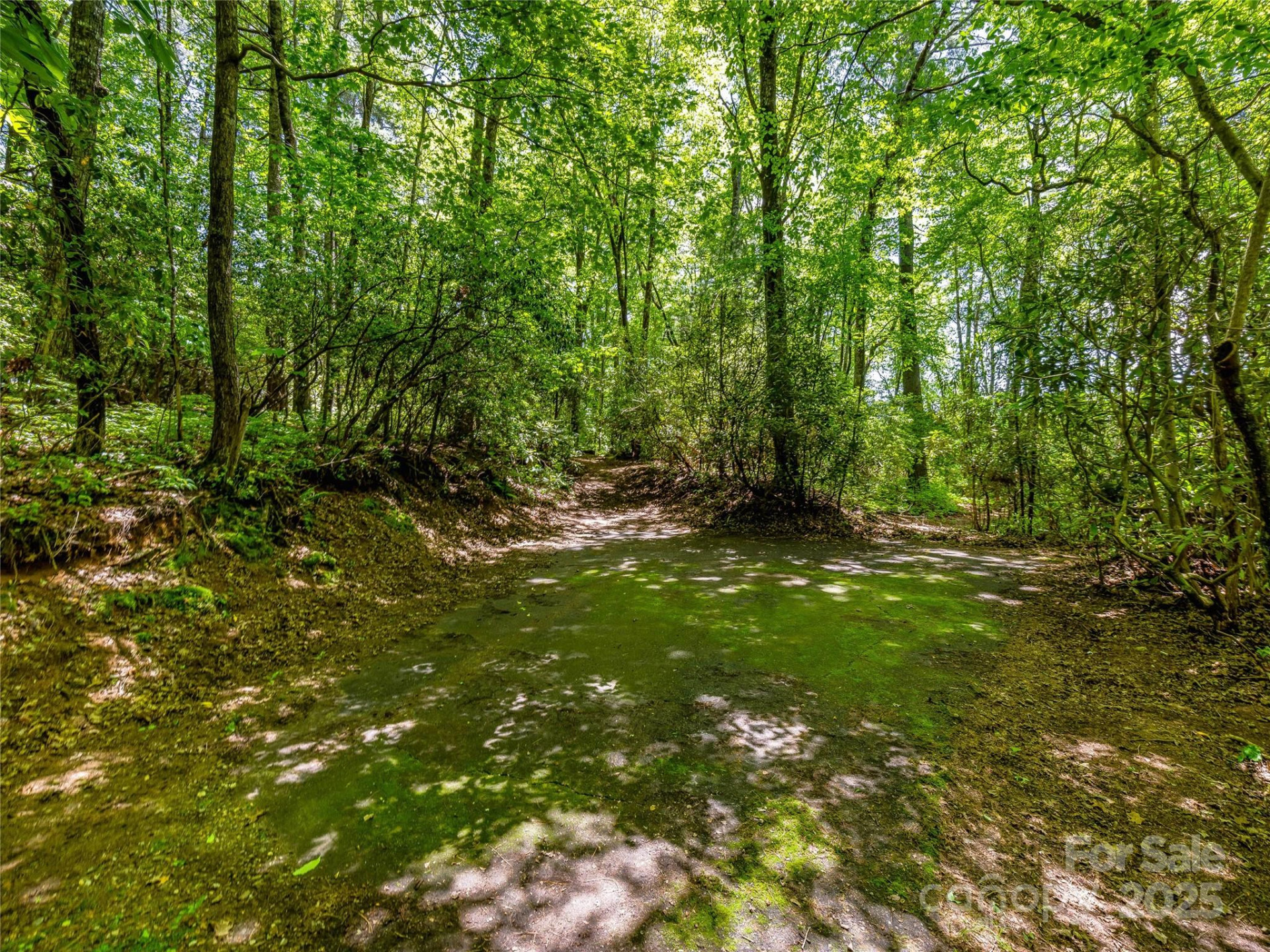 J 33 Cherokee Point - Photo 12