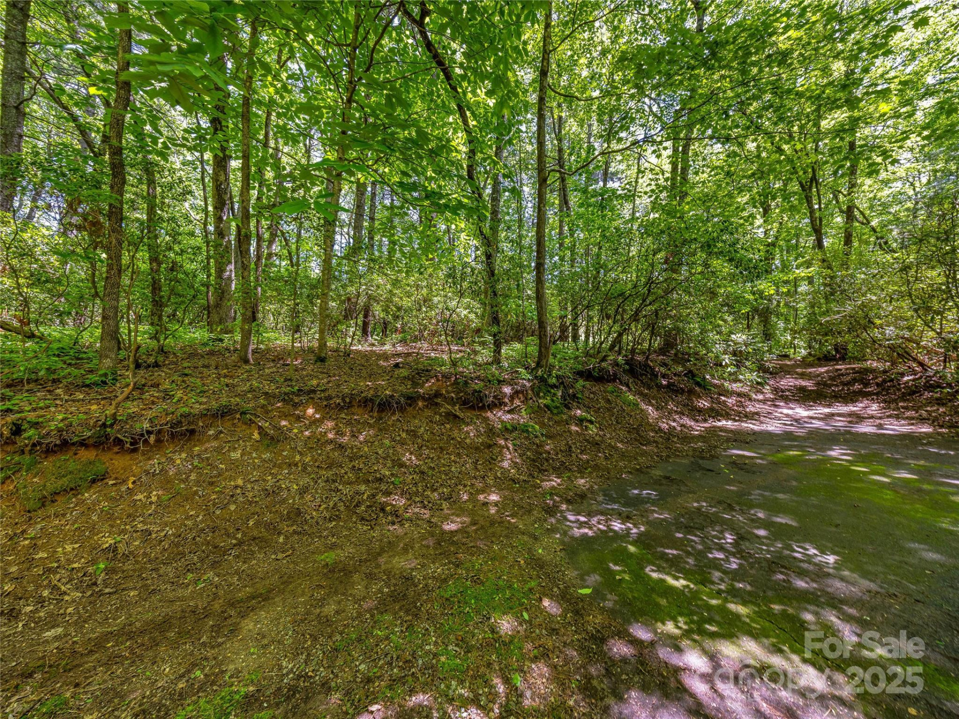 J 33 Cherokee Point - Photo 13