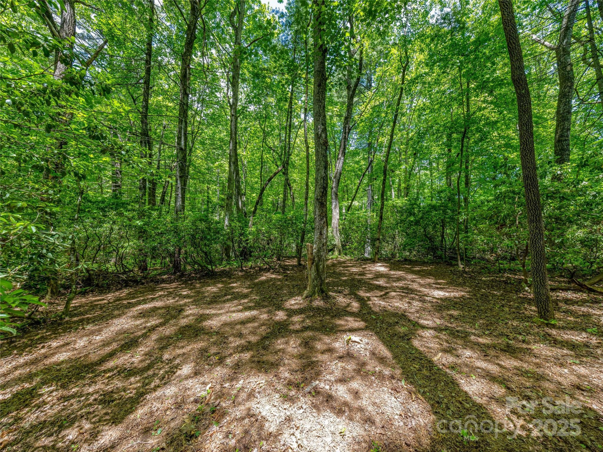 J 33 Cherokee Point - Photo 7