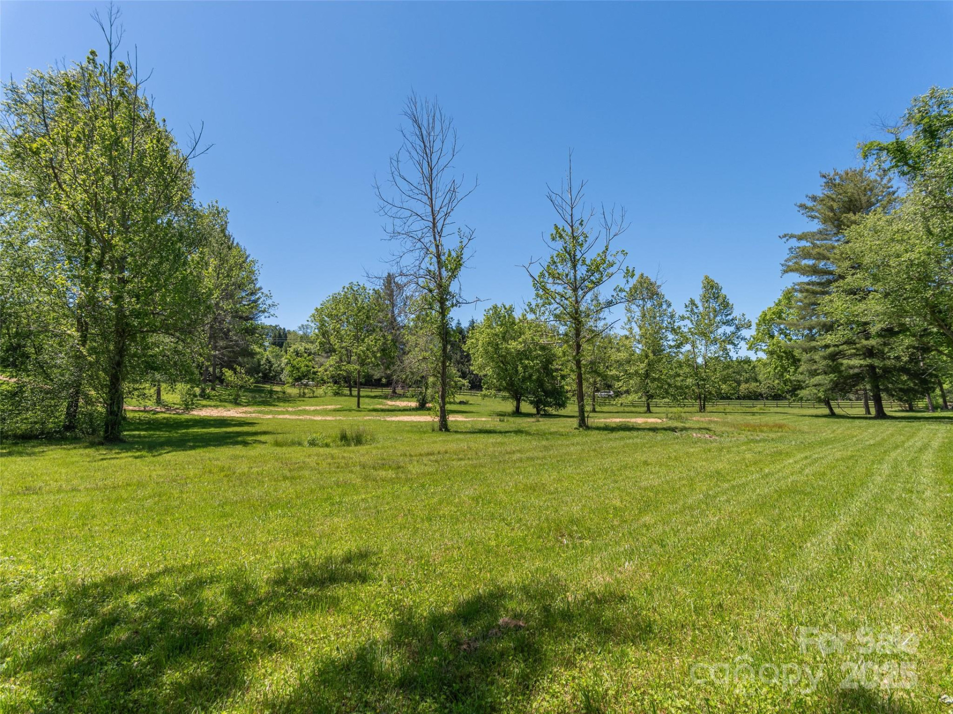1132 Cane Creek Road - Photo 11