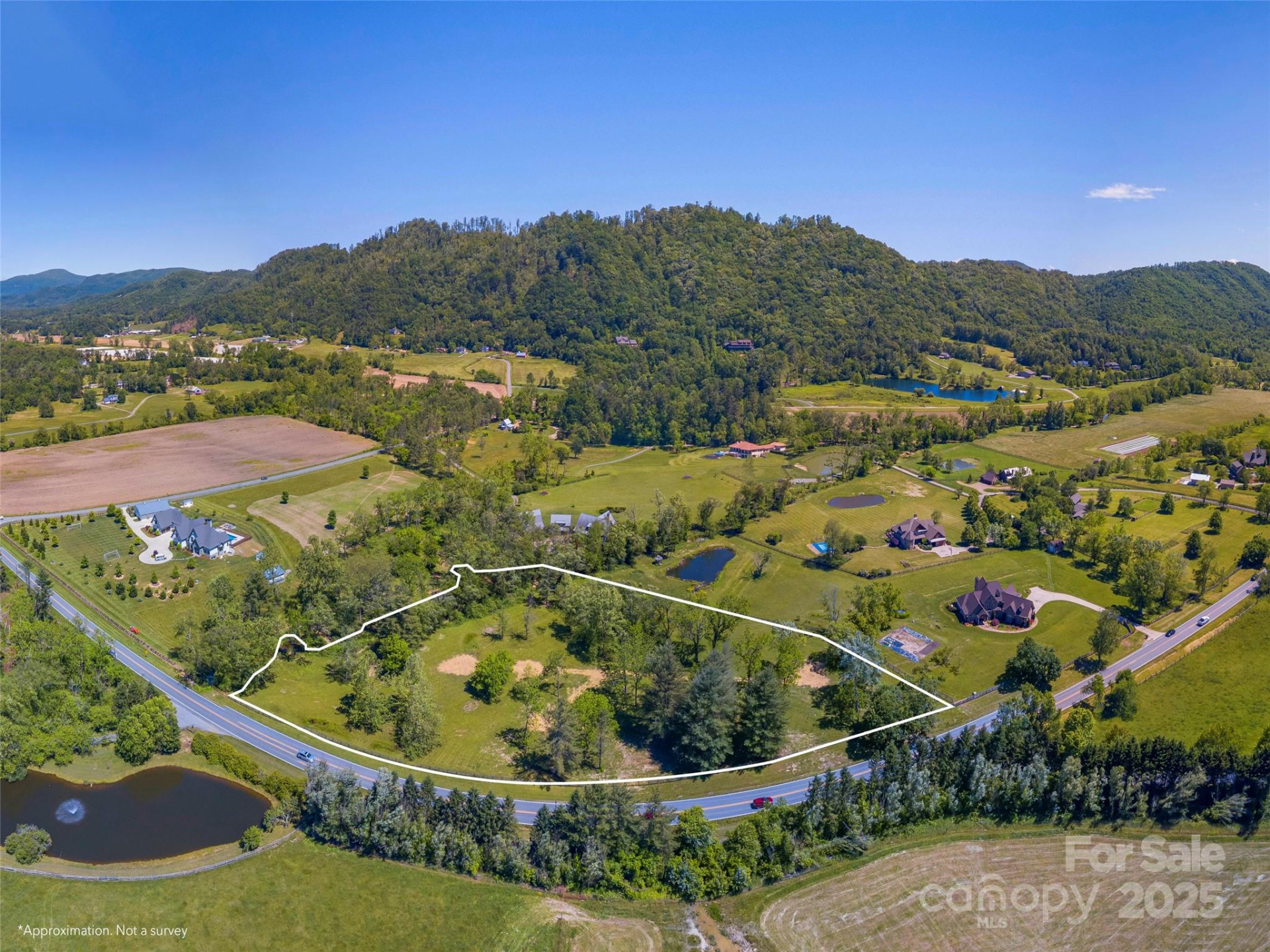 1132 Cane Creek Road - Photo 4