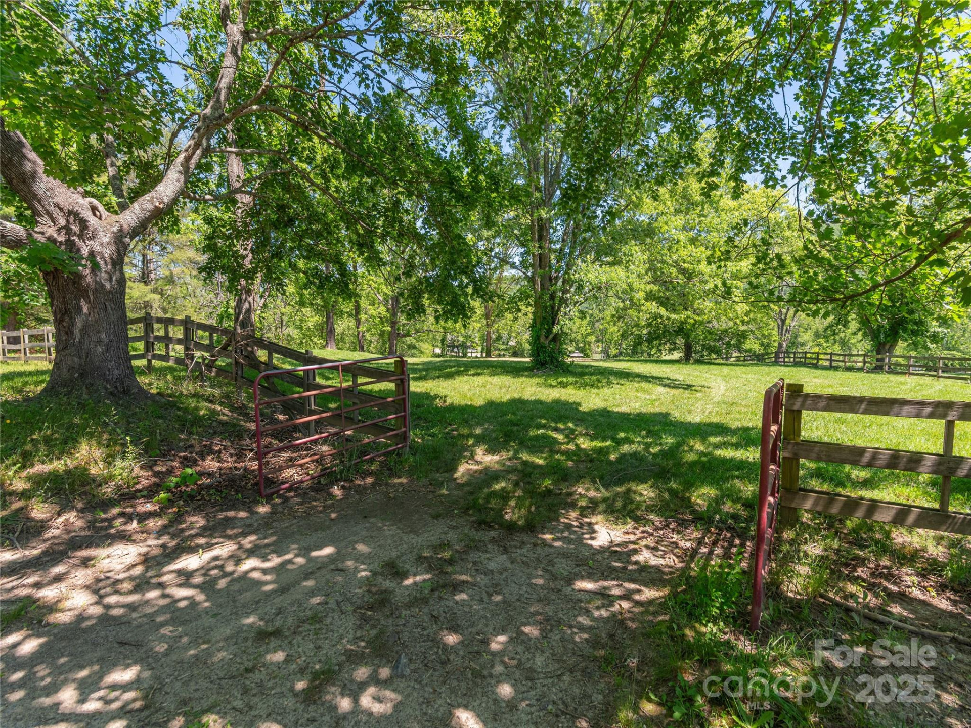 1132 Cane Creek Road - Photo 5