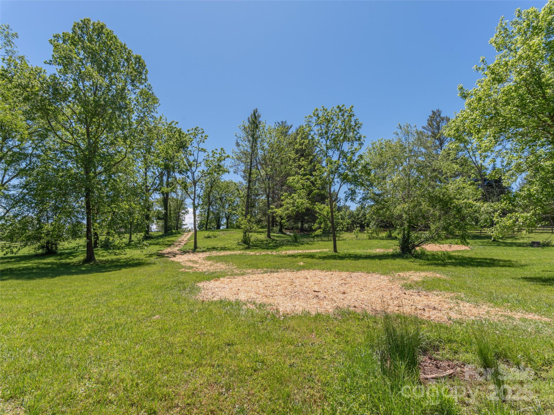 1132 Cane Creek Road - Photo 8