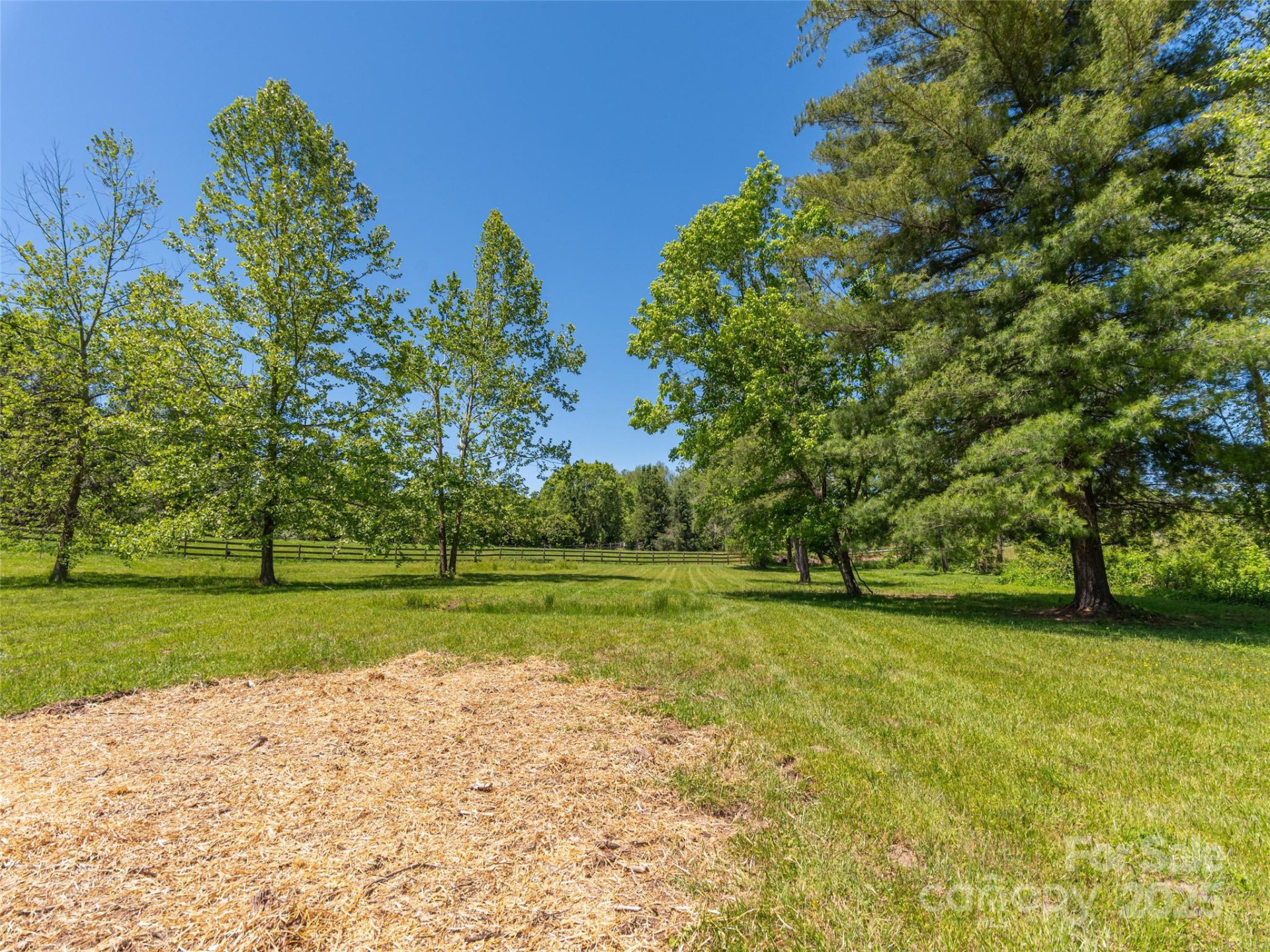 1132 Cane Creek Road - Photo 9