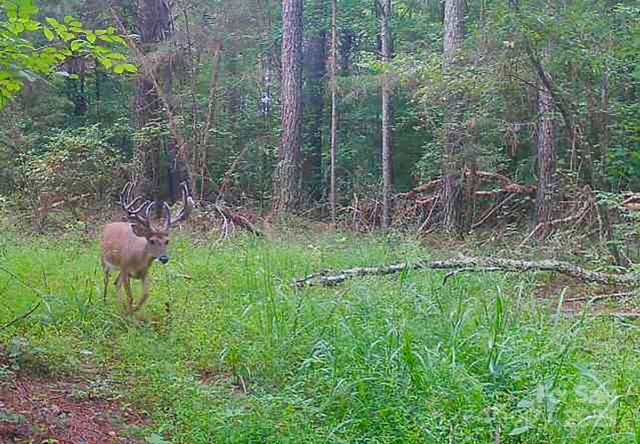 5555 Groves Road, Union Mills, NC, 28167