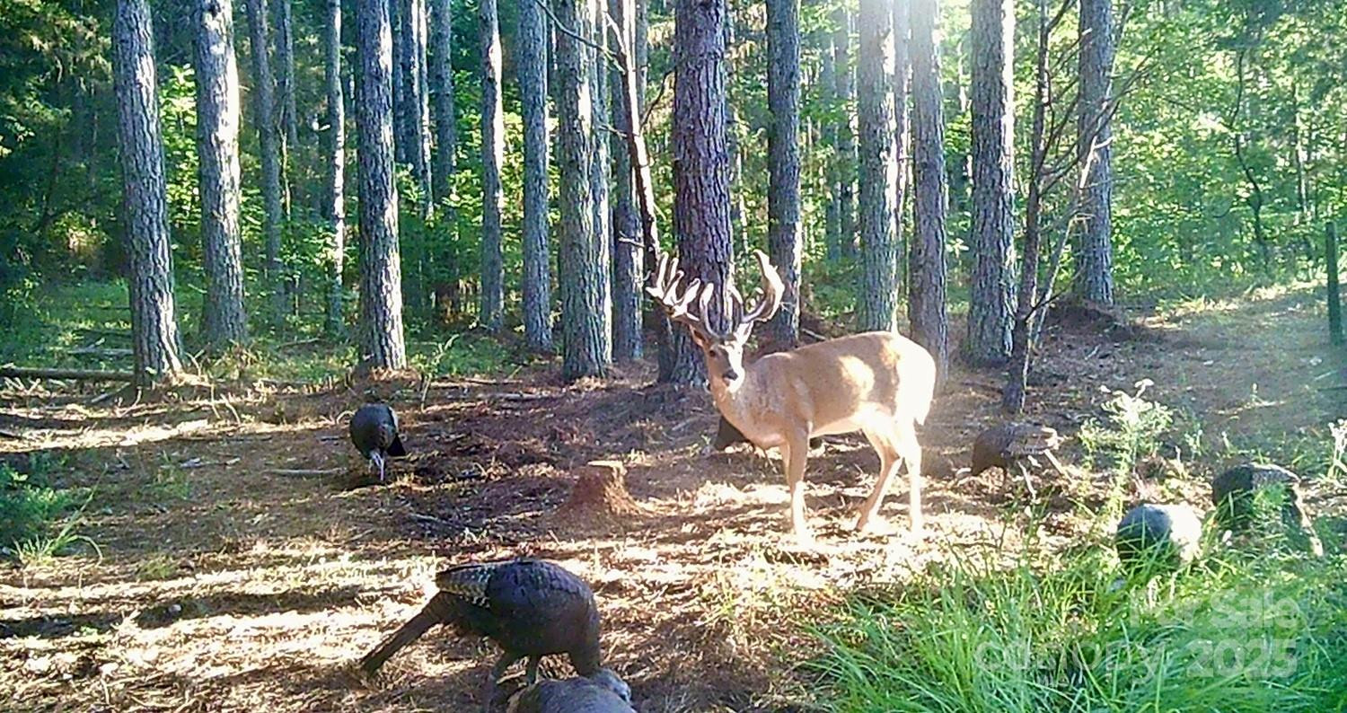 5555 Groves Road - Photo 2