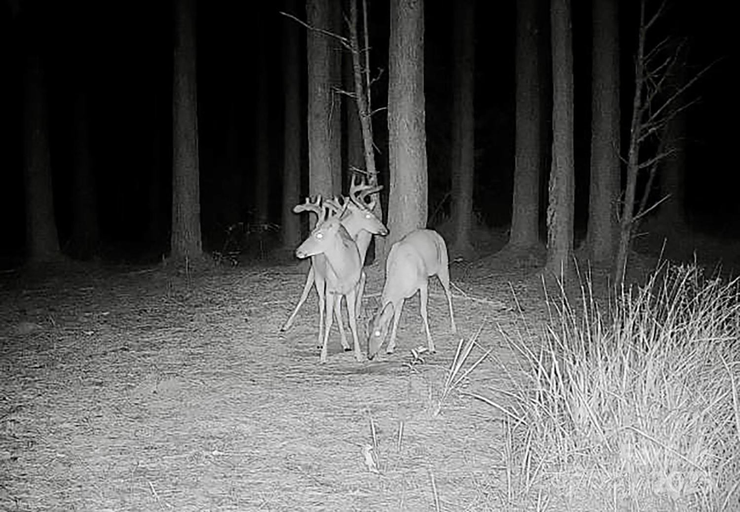 5555 Groves Road - Photo 15