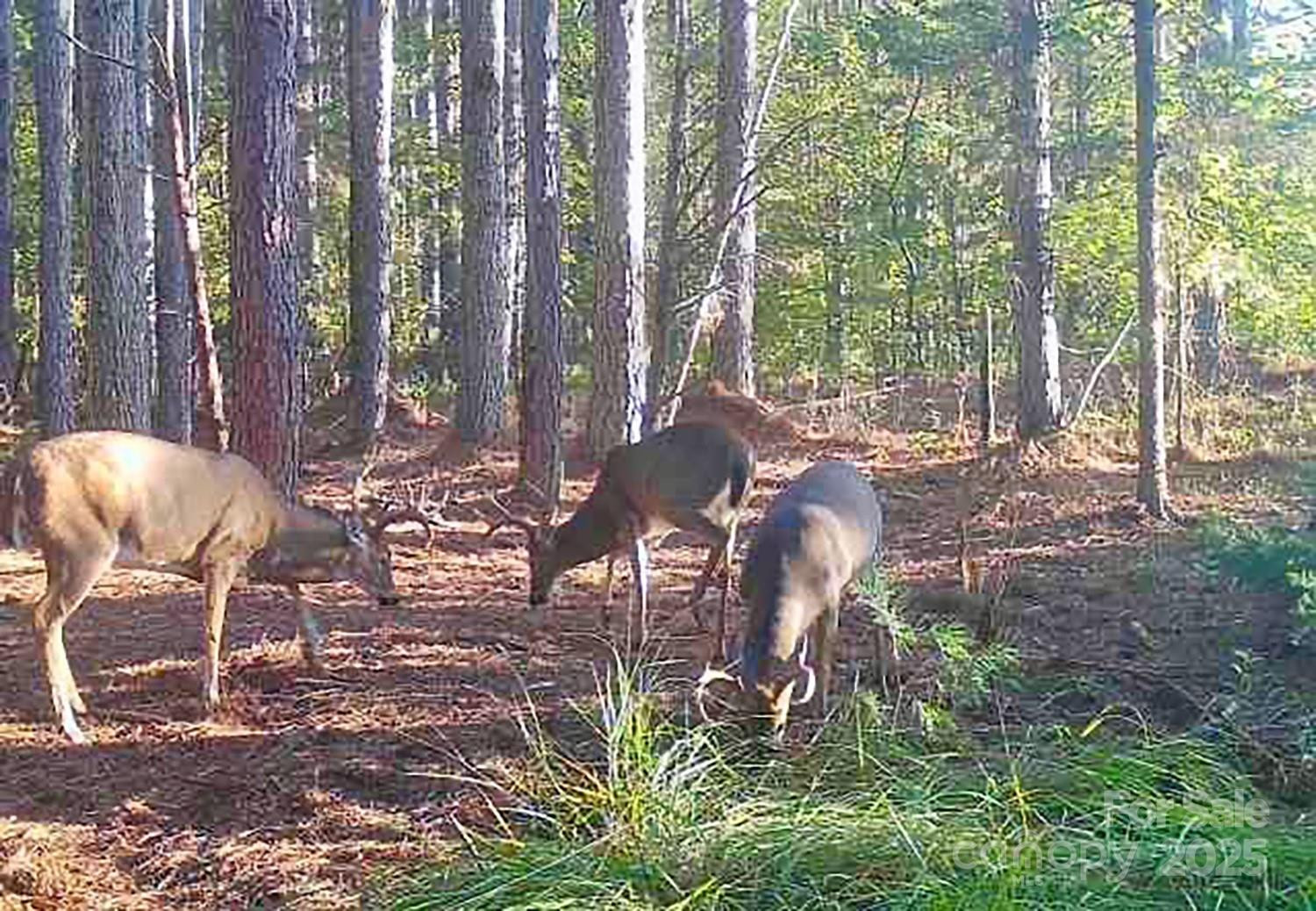 5555 Groves Road - Photo 16