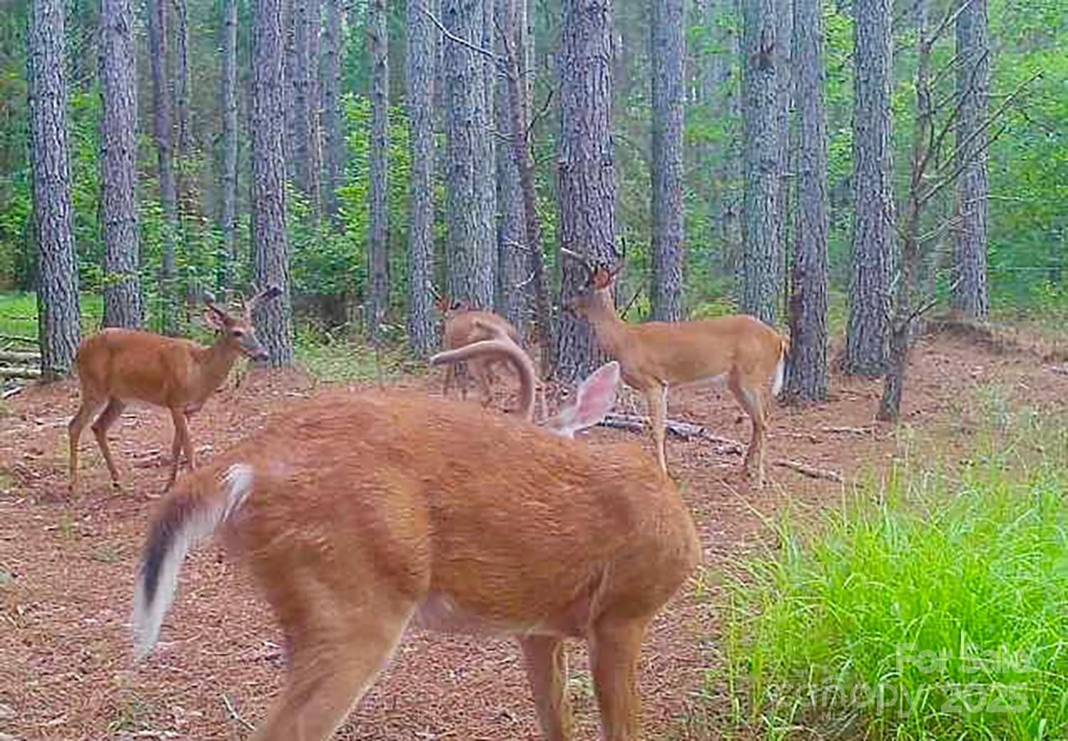 5555 Groves Road - Photo 17