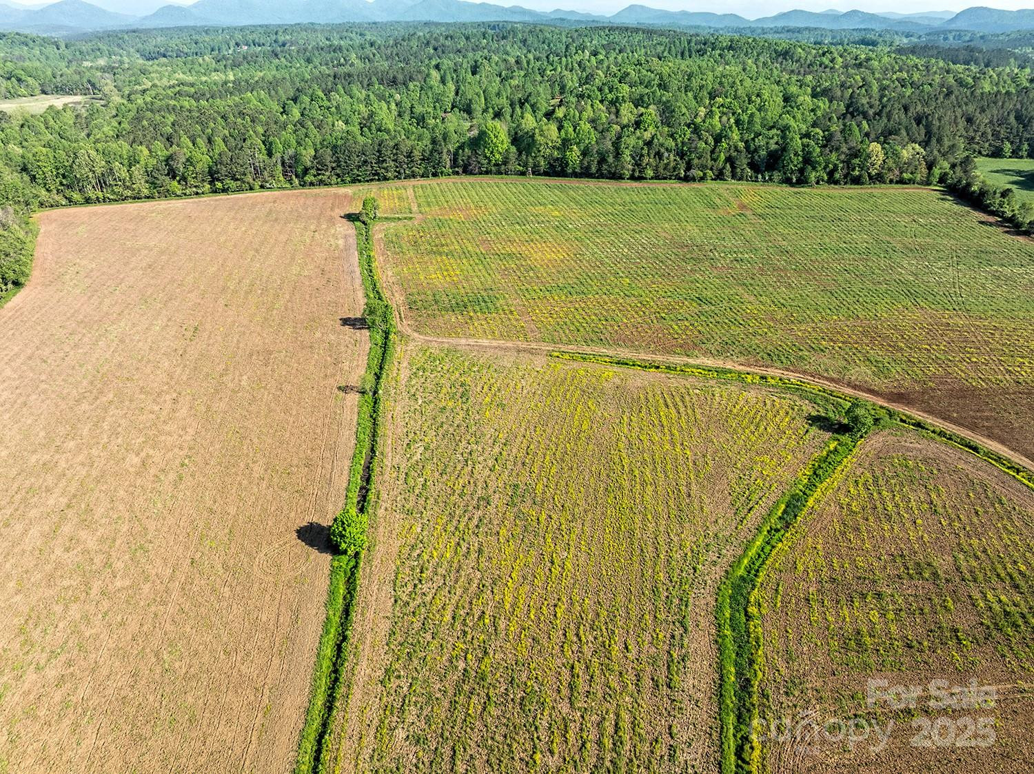 5555 Groves Road - Photo 19