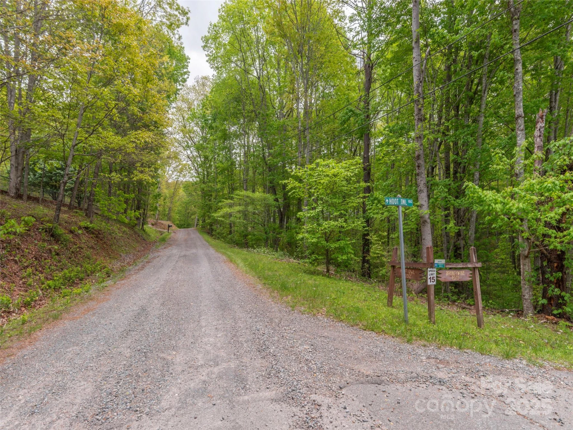 00 Hoot Owl Ridge - Photo 2