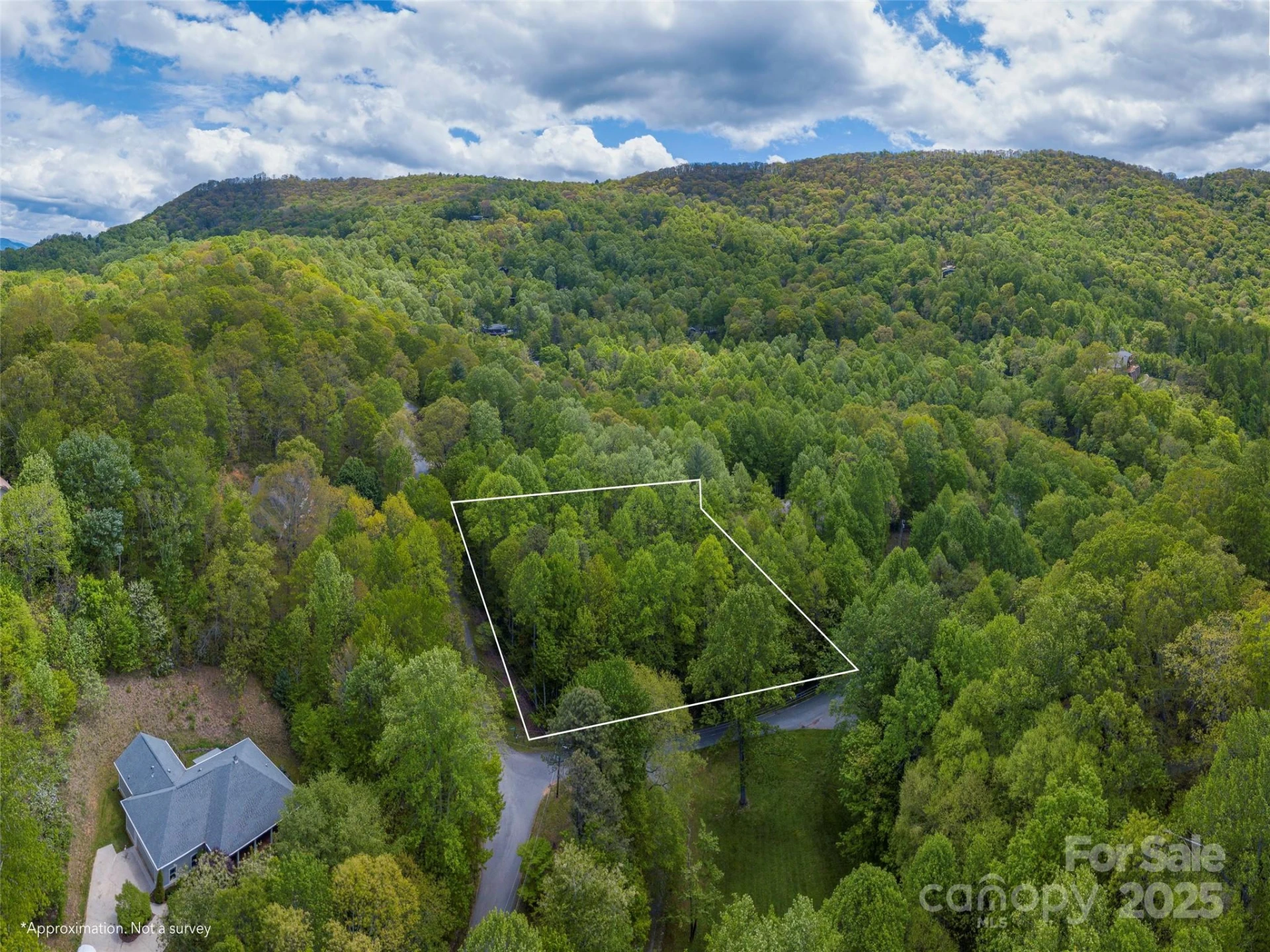 00 Hoot Owl Ridge - Photo 3