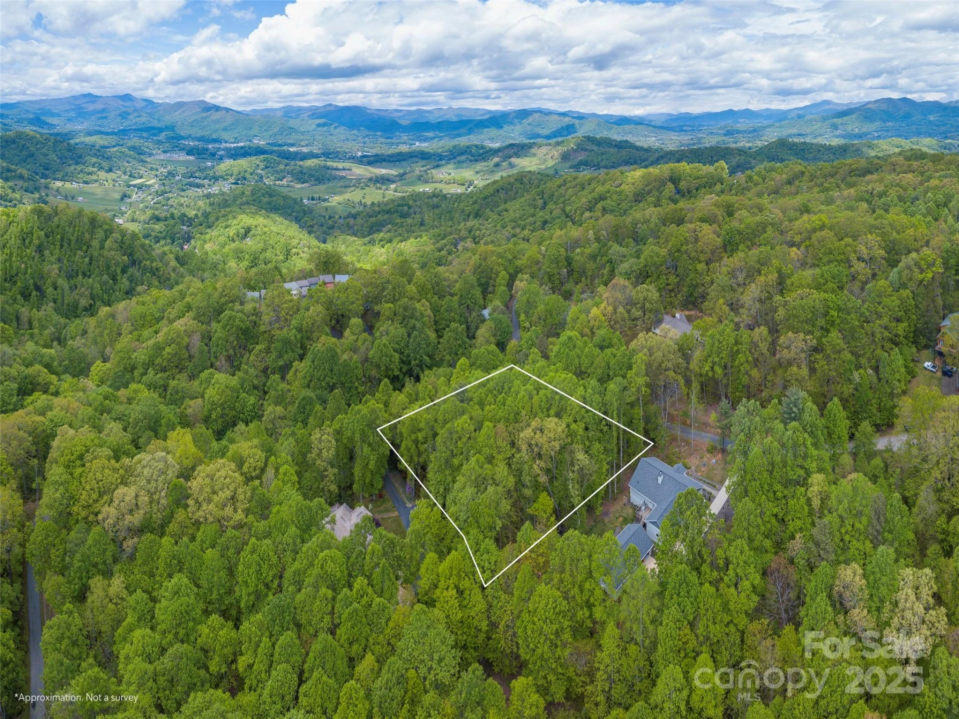 00 Hoot Owl Ridge - Photo 5