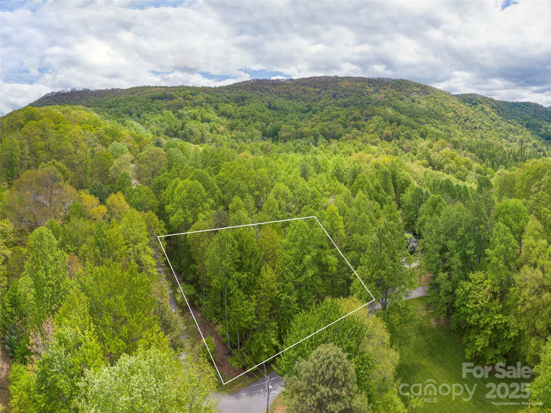 00 Hoot Owl Ridge - Photo 7