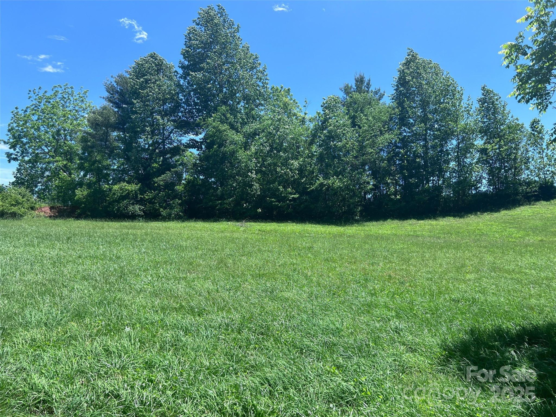 99999 Goodwin Lane - Photo 13