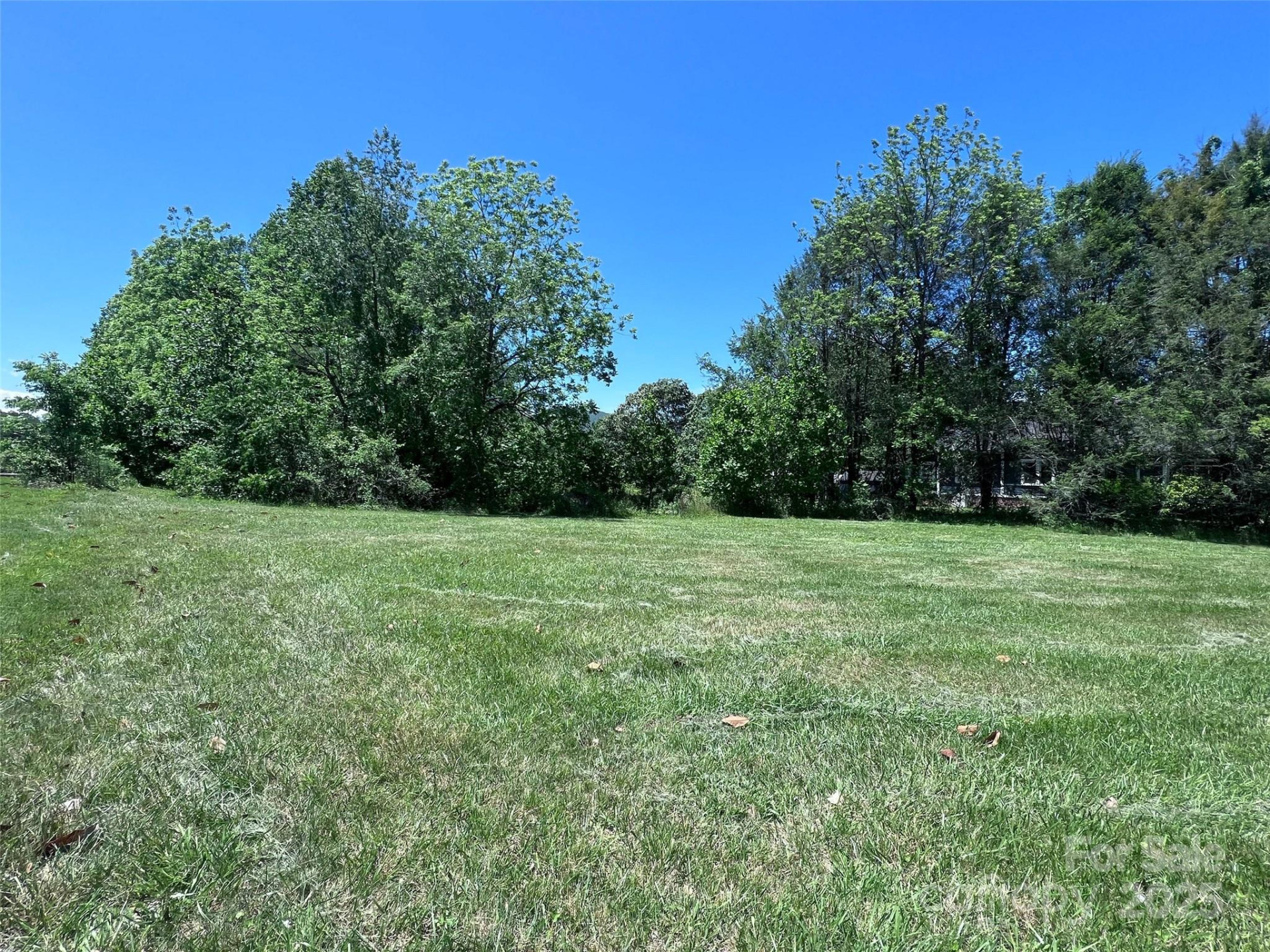 99999 Goodwin Lane - Photo 7