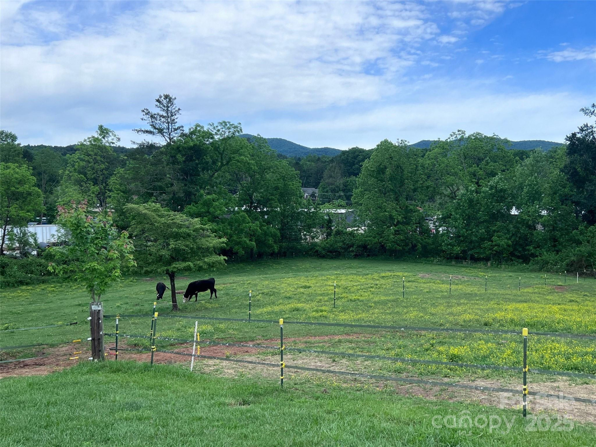 99999 Hamilton Drive - Photo 14