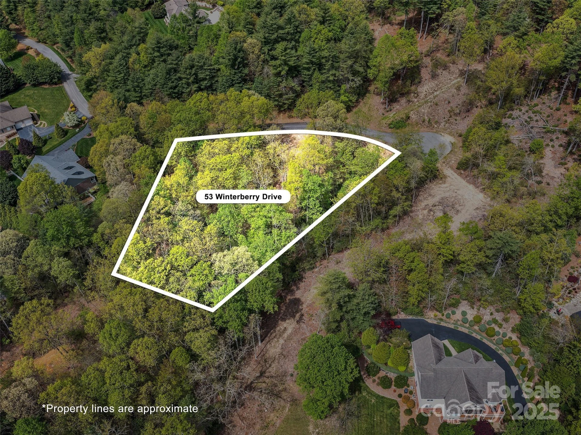 Lot #53 Winterberry Drive - Photo 2