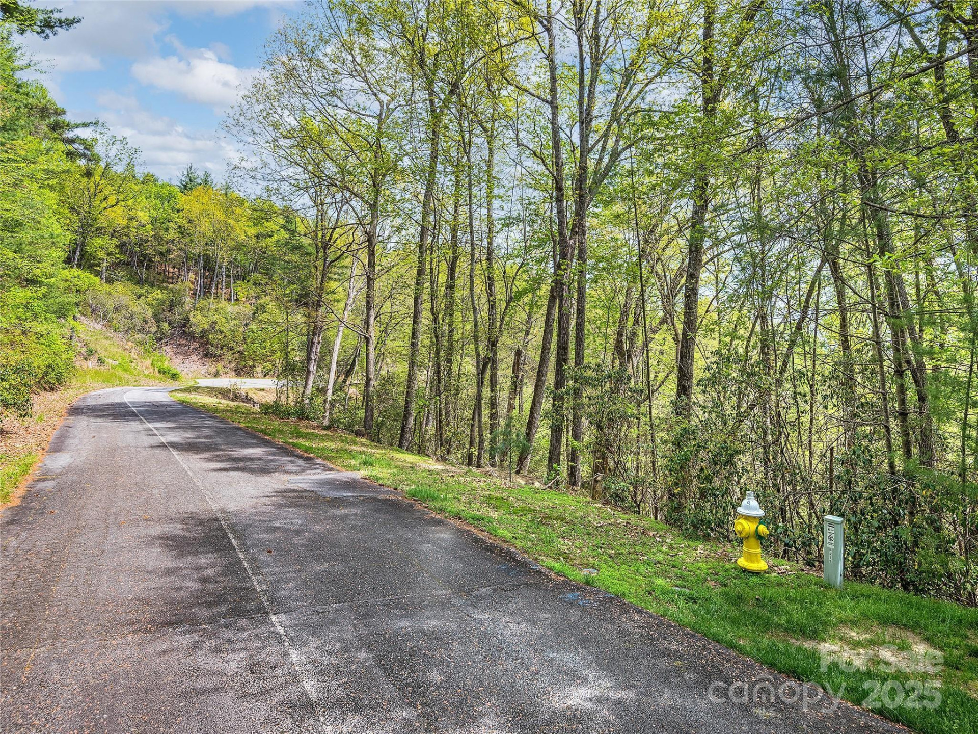 Lot #53 Winterberry Drive - Photo 3