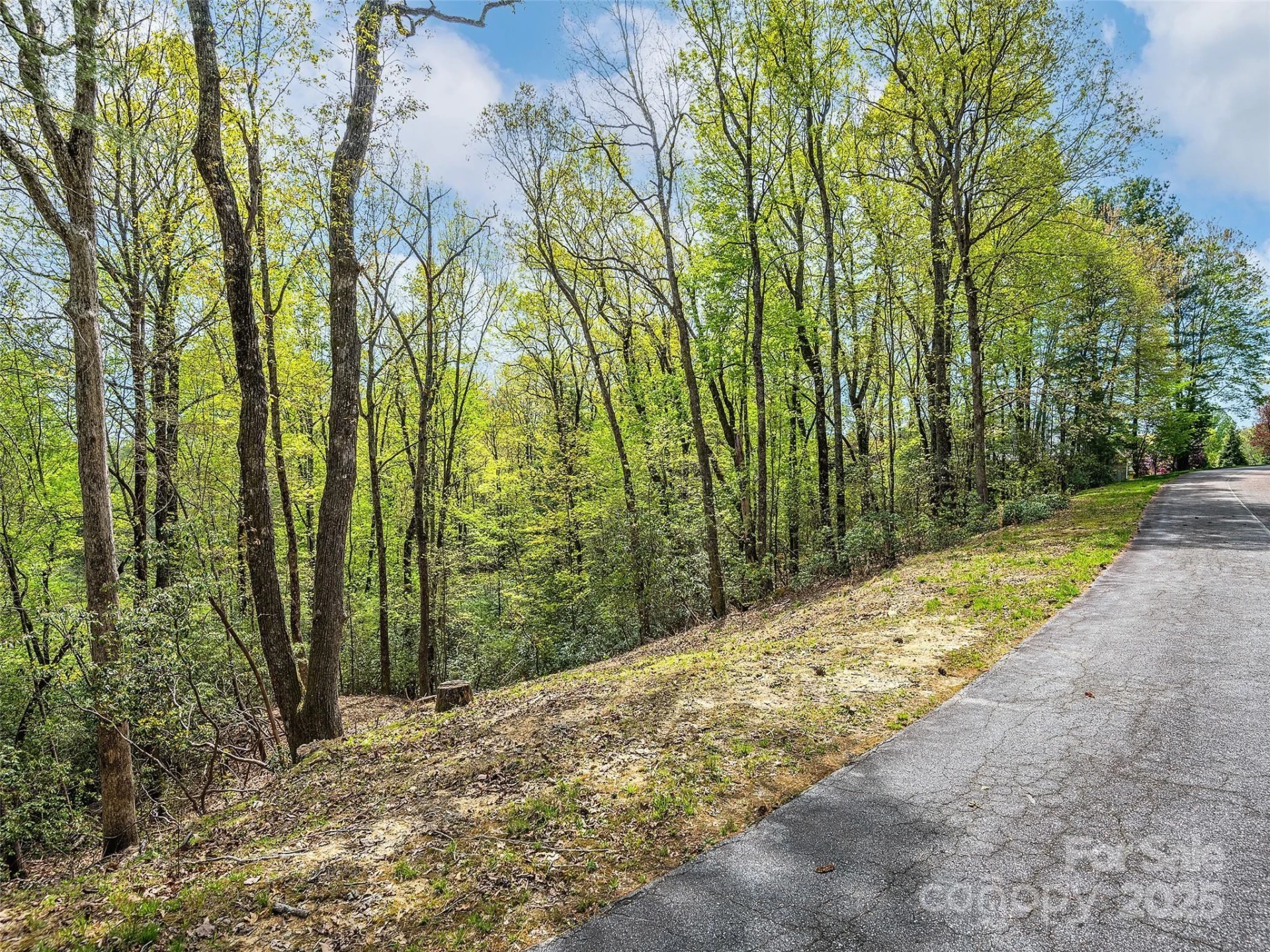 Lot #53 Winterberry Drive - Photo 4