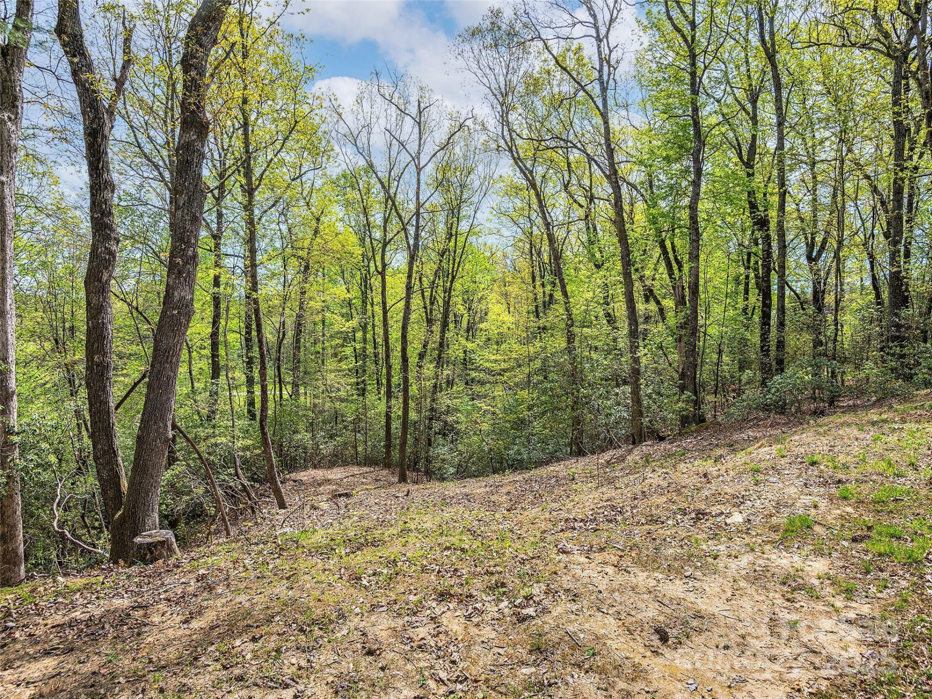 Lot #53 Winterberry Drive - Photo 5