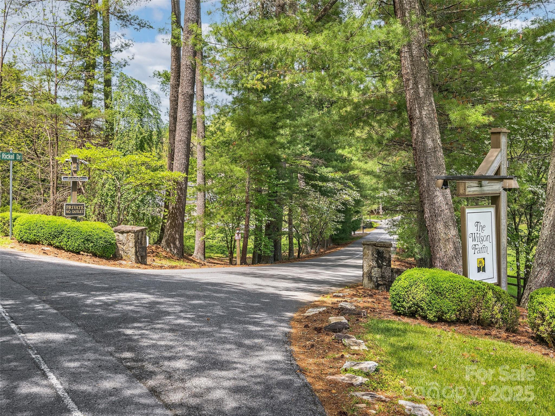 Lot #53 Winterberry Drive - Photo 8