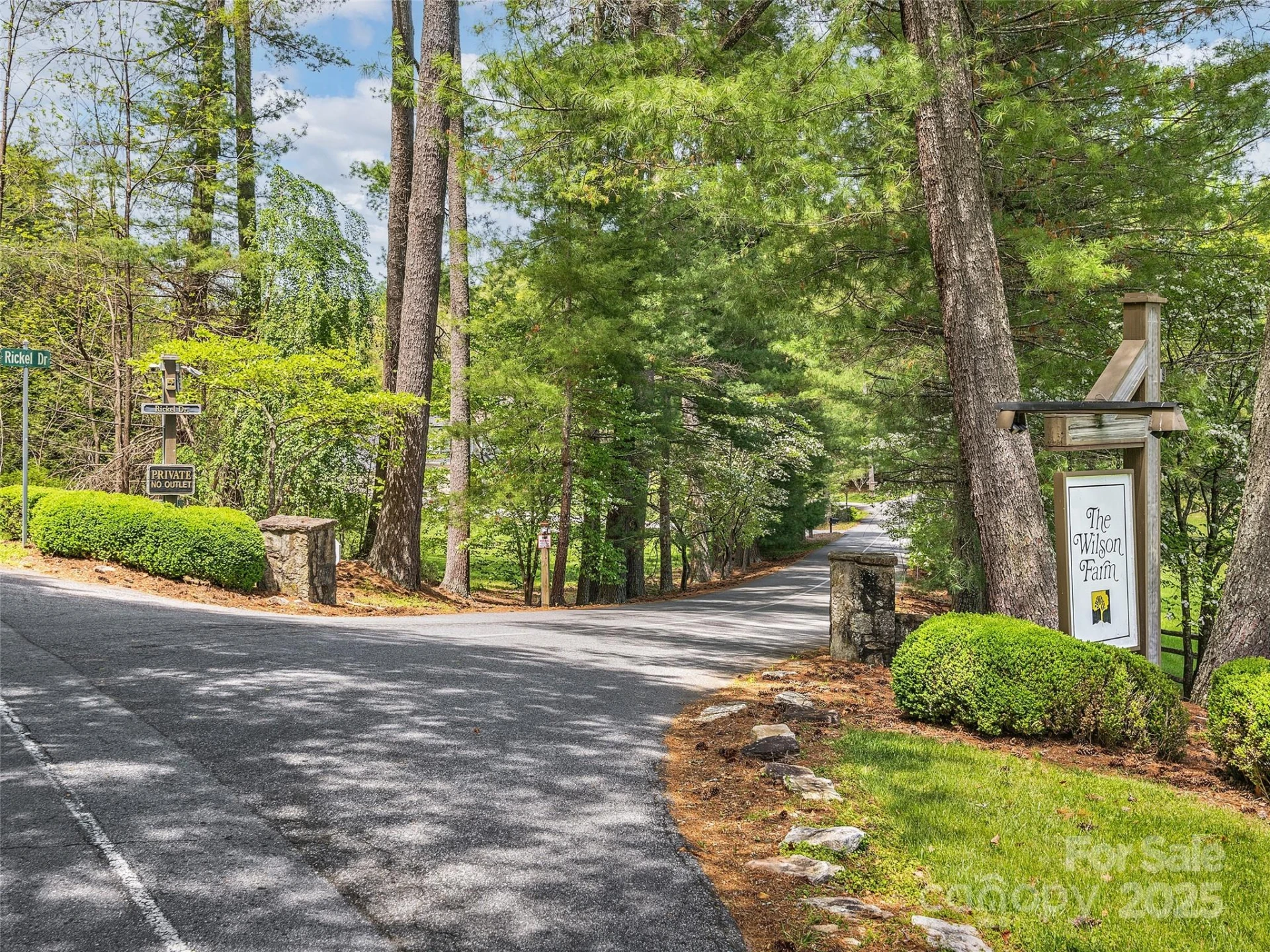 Lot #53 Winterberry Drive - Photo 8