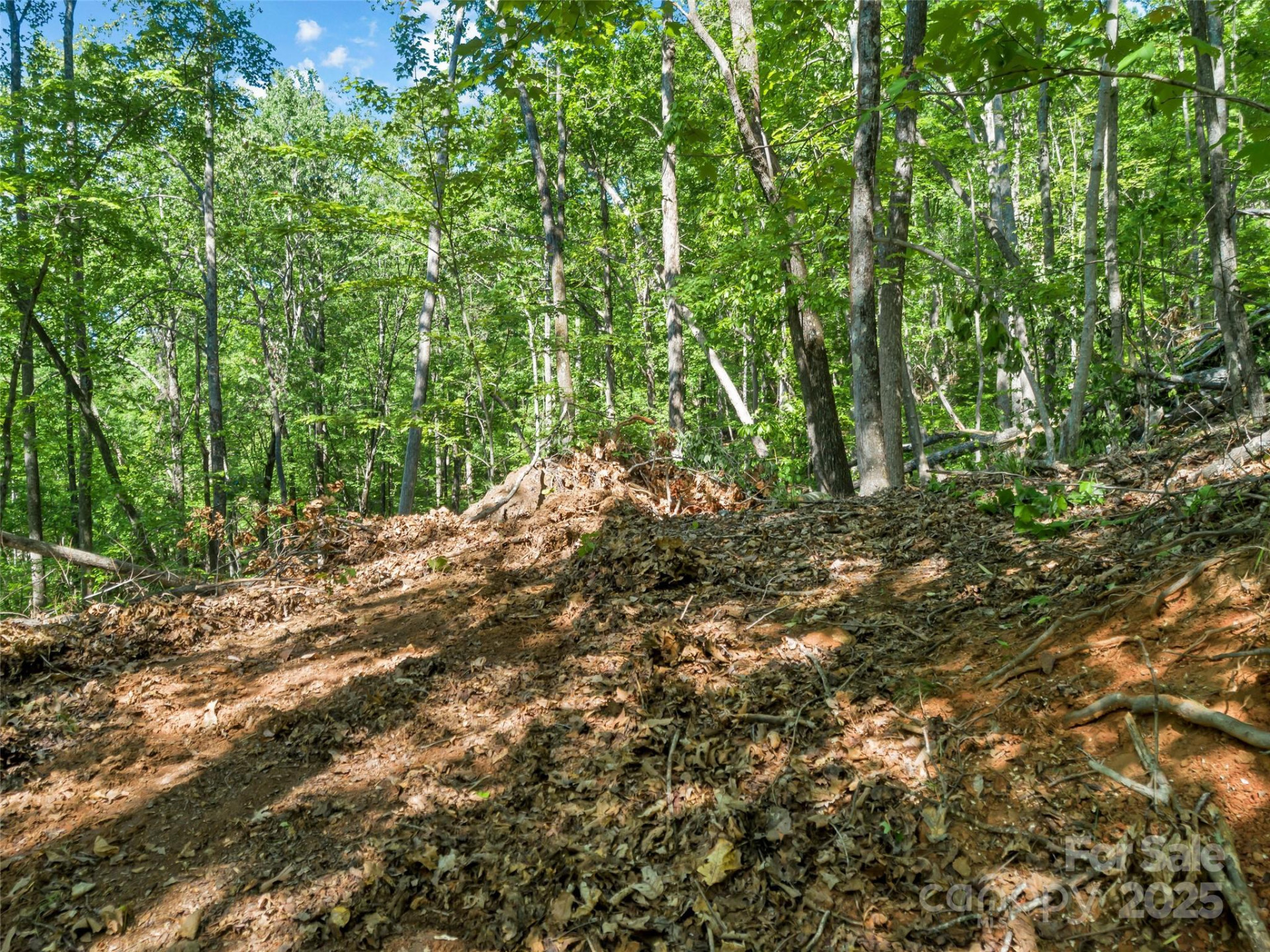 0 Maple Spring Drive - Photo 11