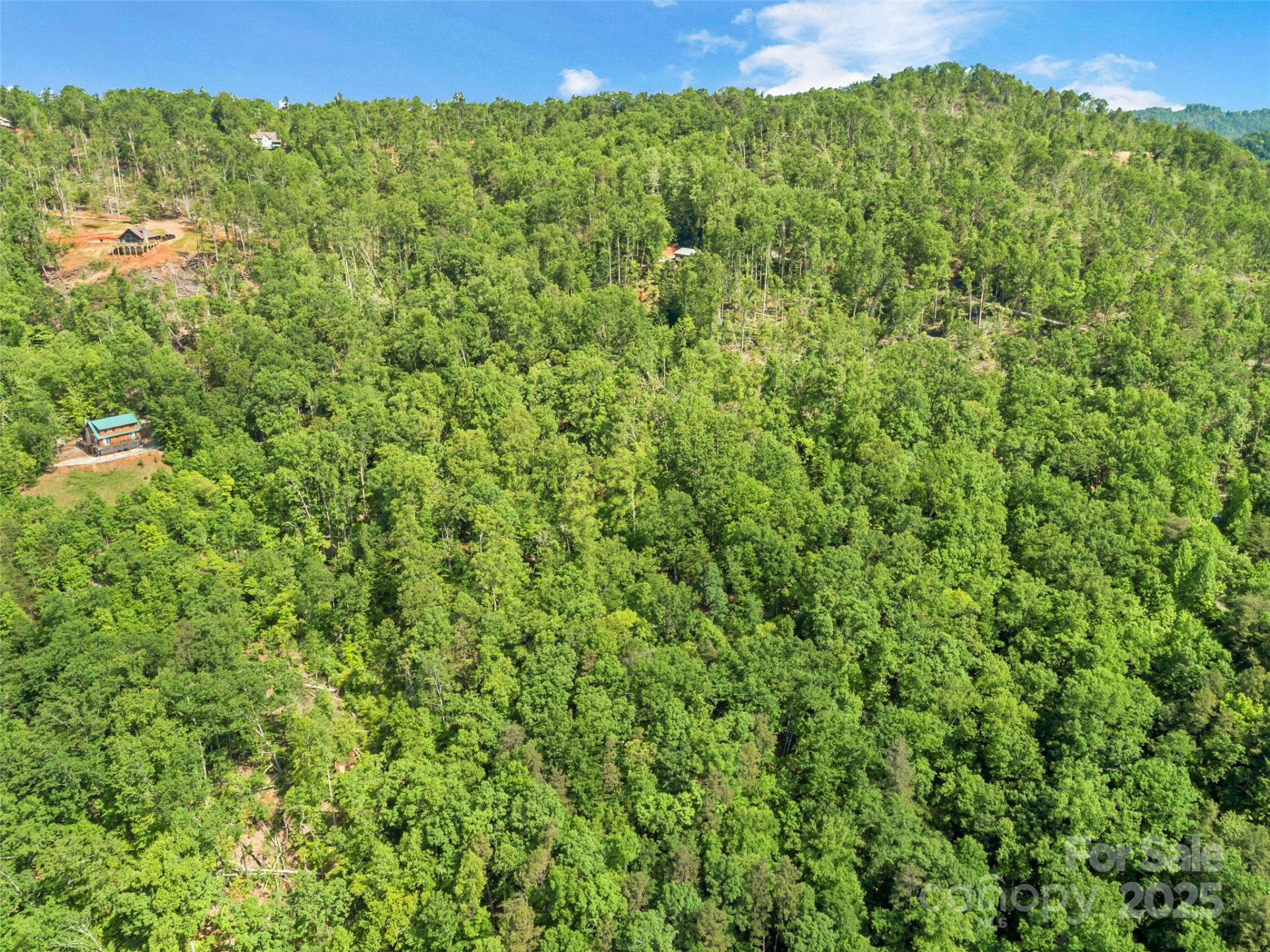 0 Maple Spring Drive - Photo 13