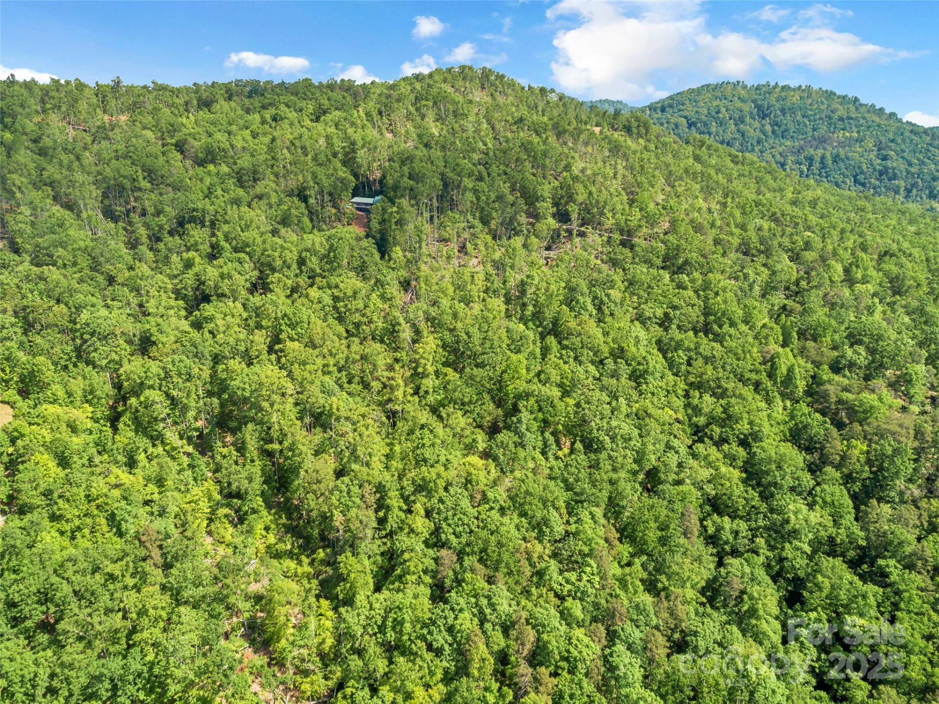 0 Maple Spring Drive - Photo 16