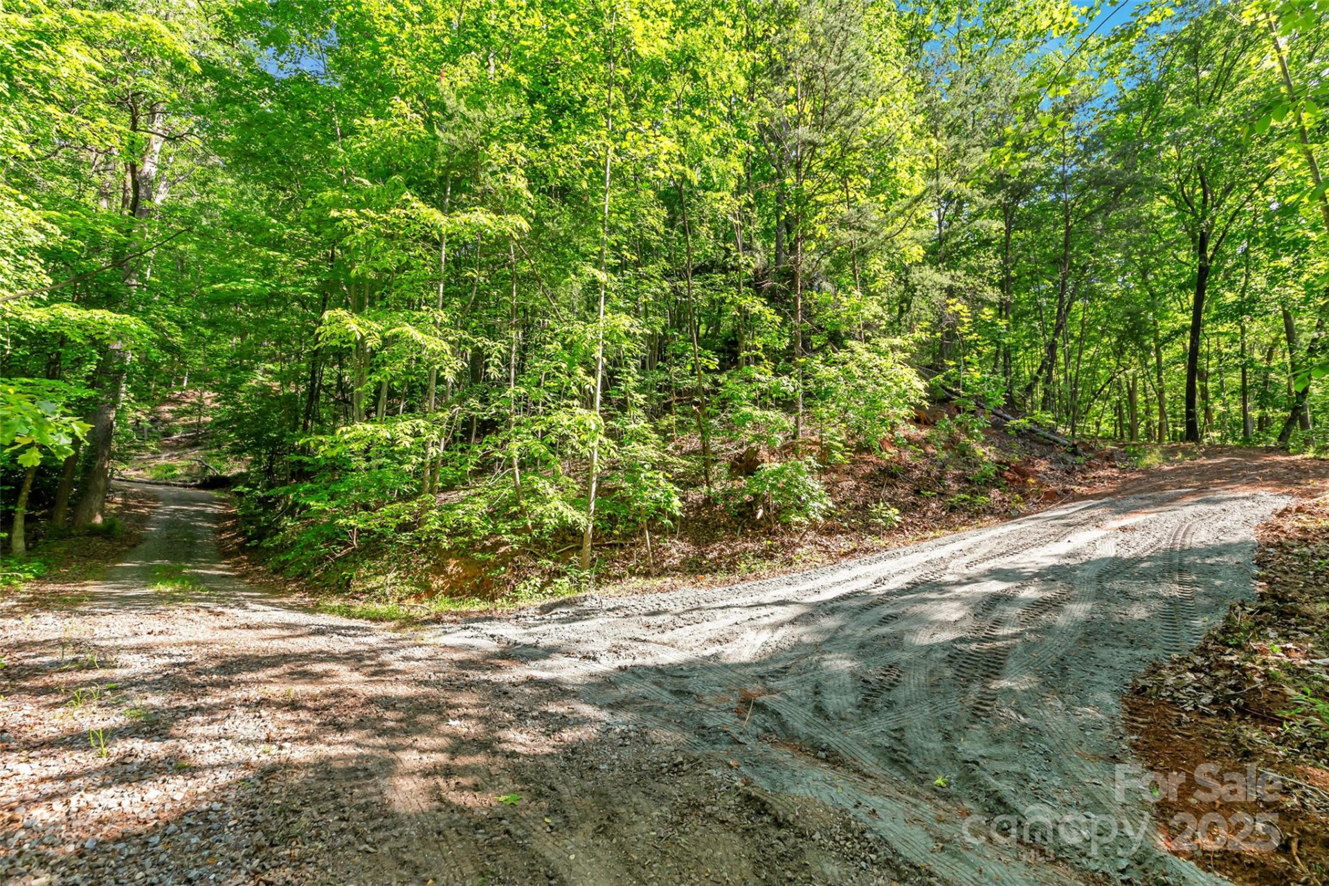 0 Maple Spring Drive - Photo 3