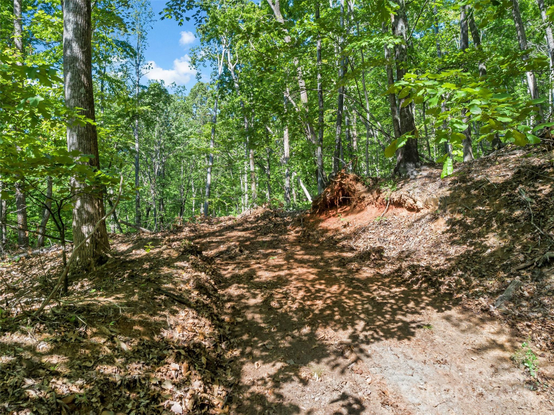 0 Maple Spring Drive - Photo 5