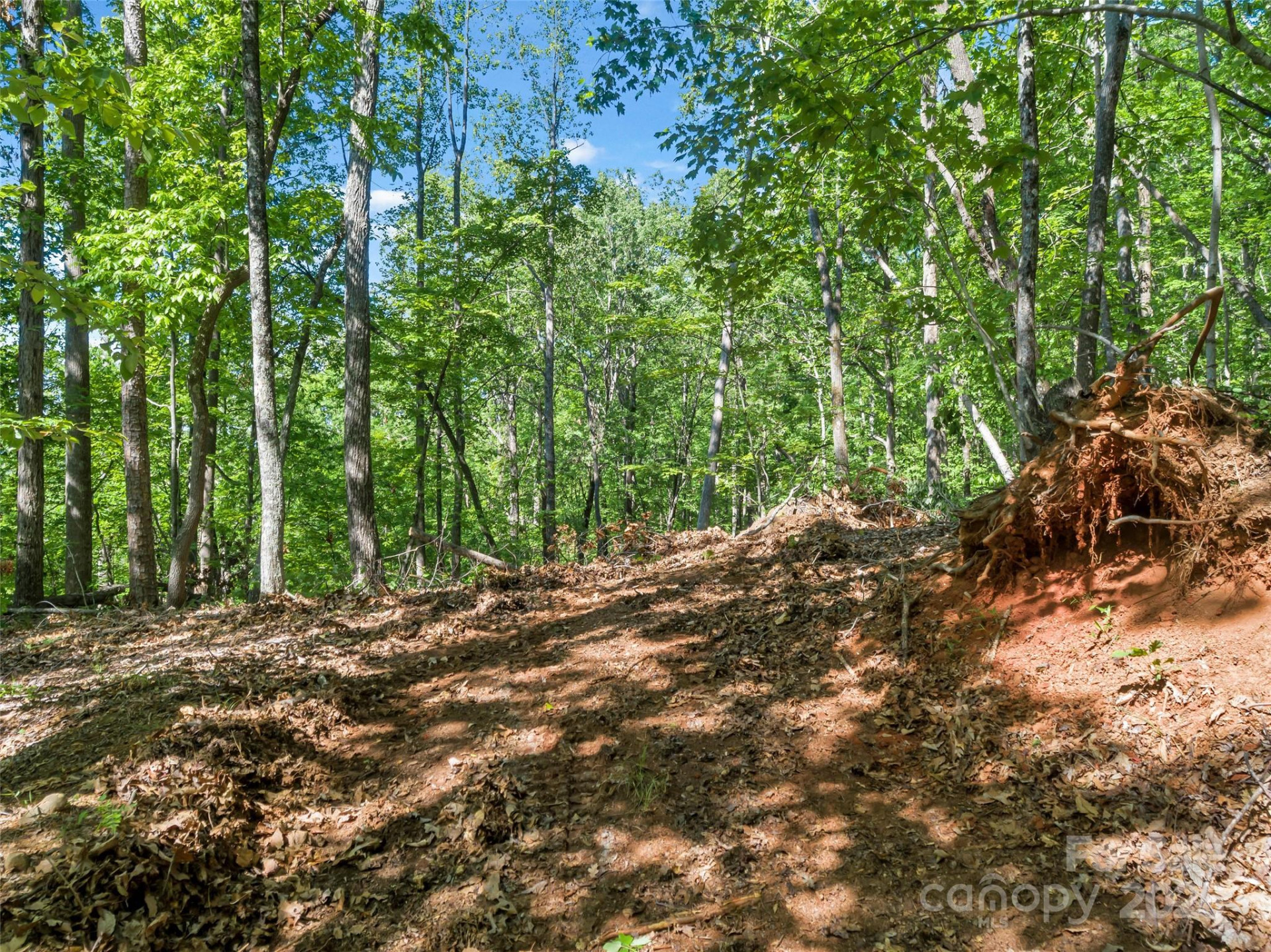 0 Maple Spring Drive - Photo 6