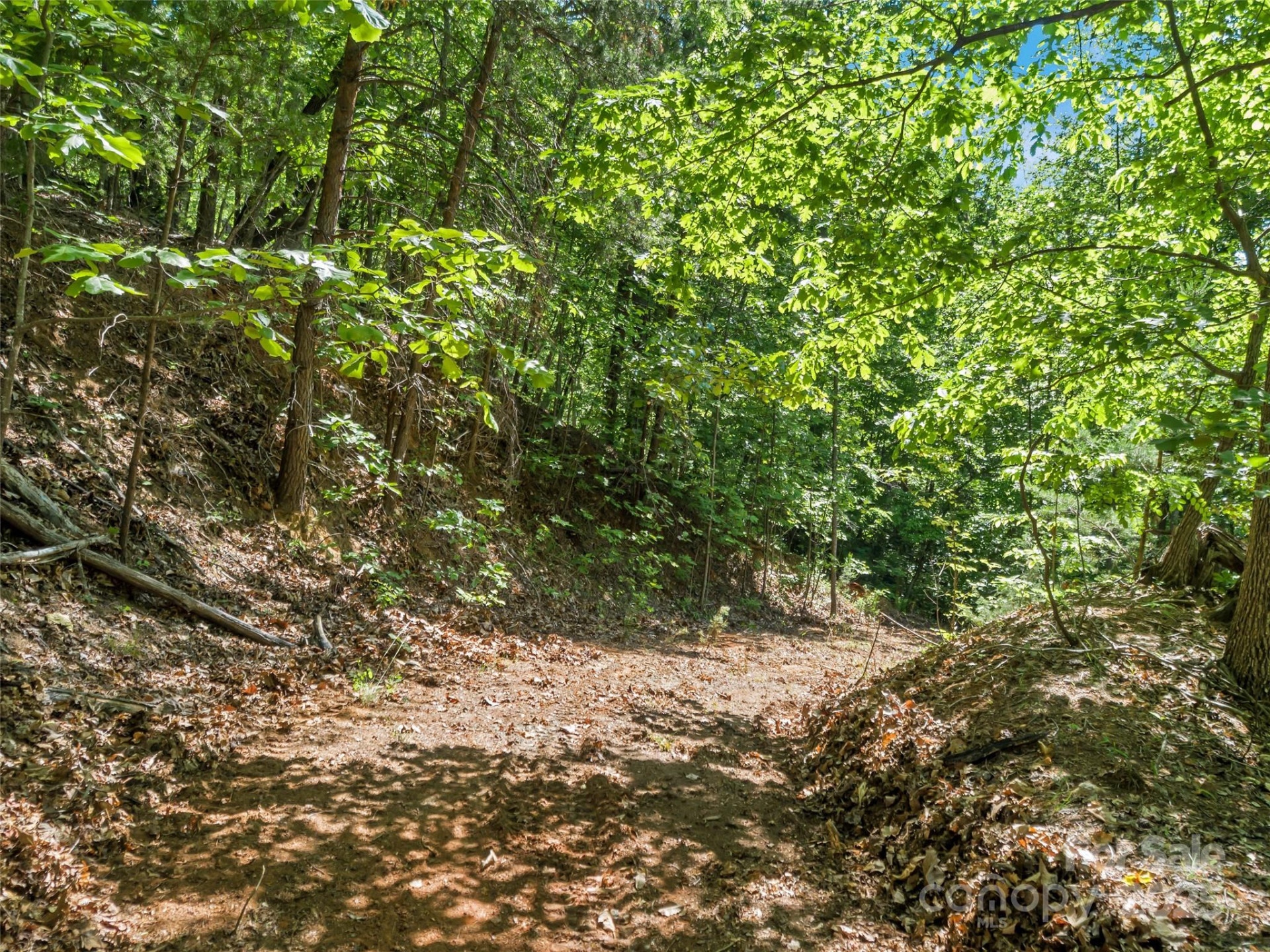 0 Maple Spring Drive - Photo 7