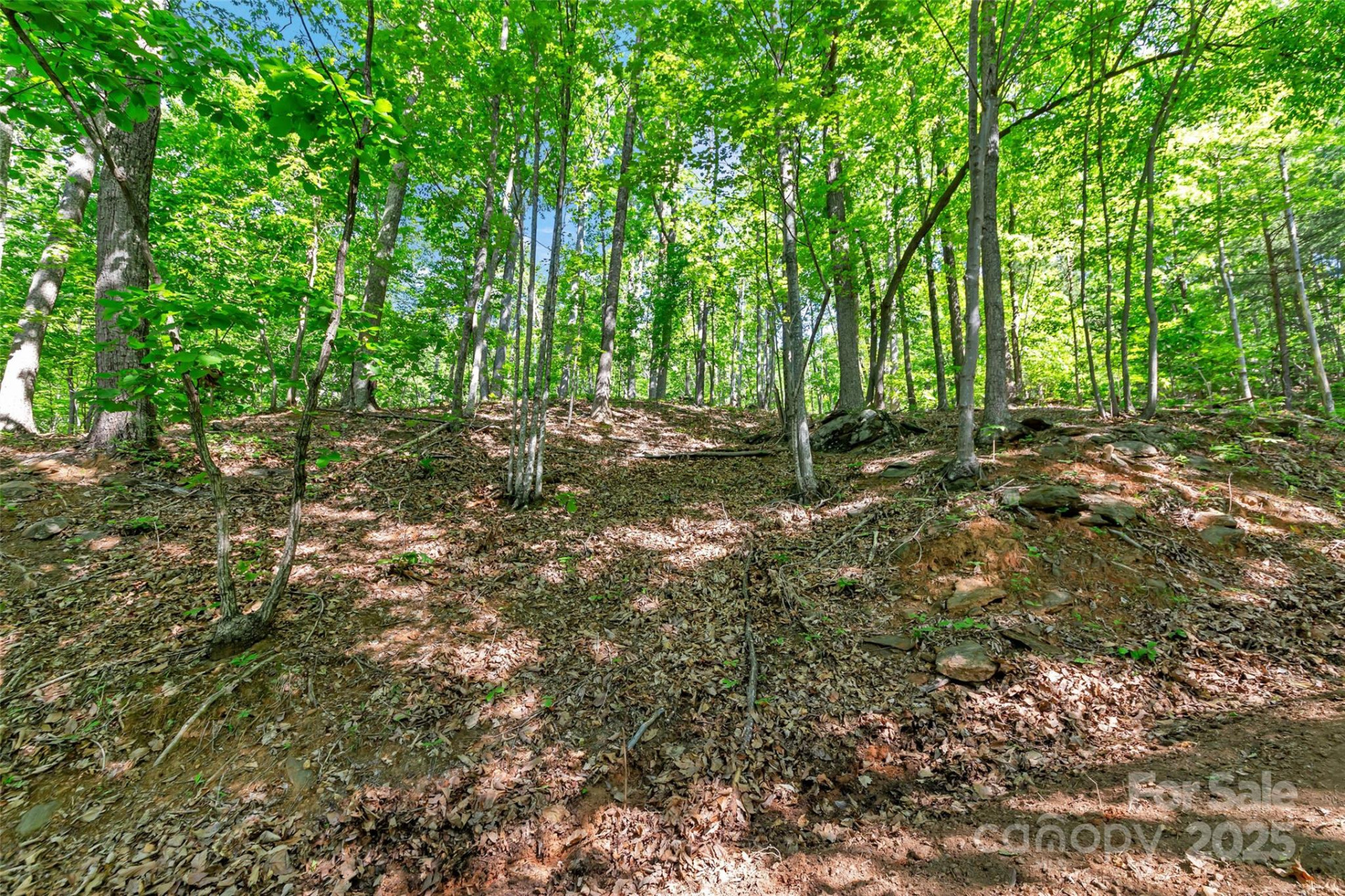 0 Maple Spring Drive - Photo 9