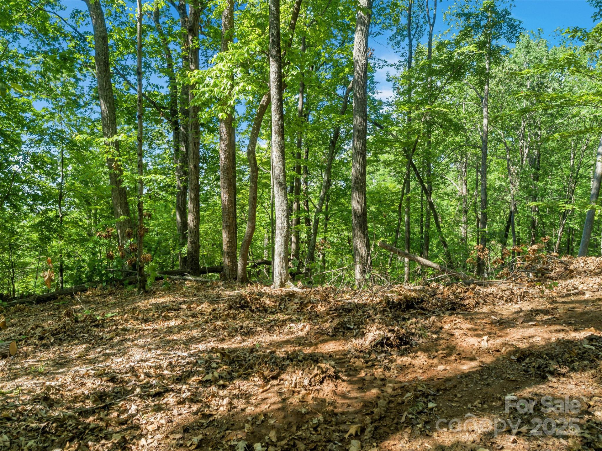 0 Maple Spring Drive - Photo 10