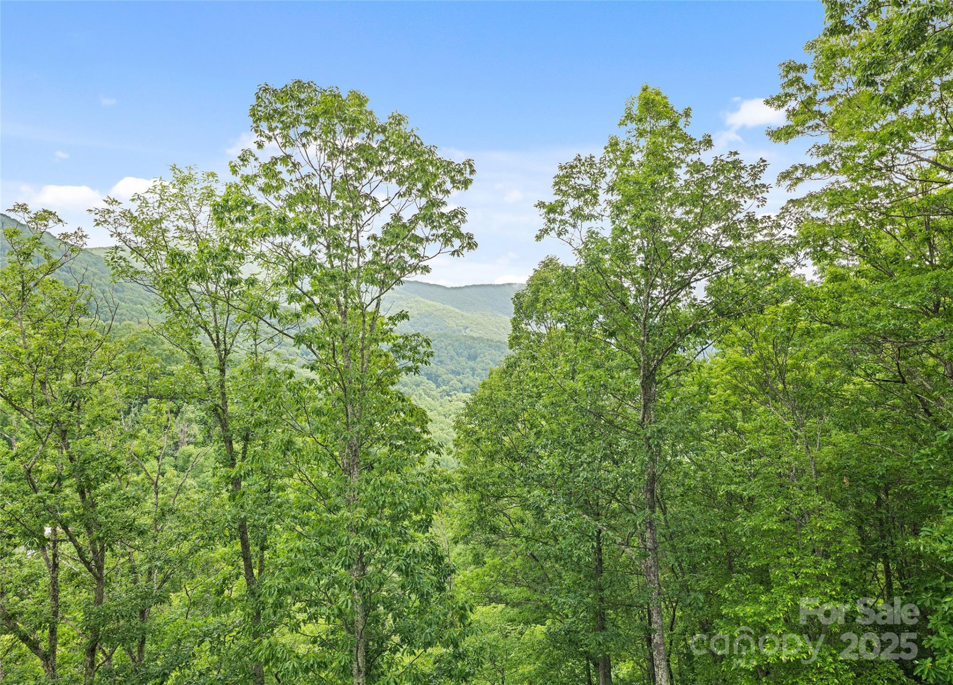 20A Lila Lane - Photo 2