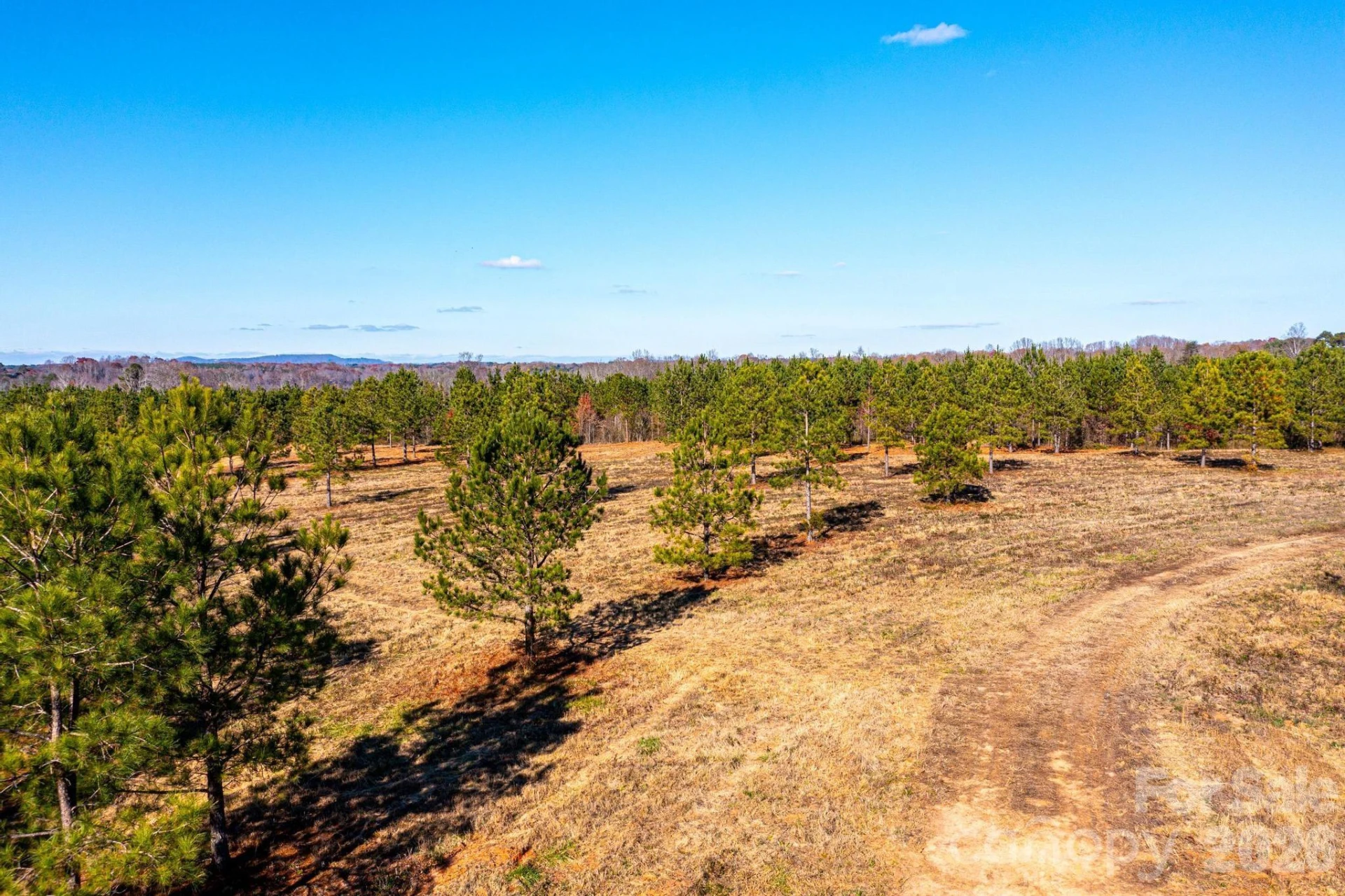 2200 Oweda Drive - Photo 2