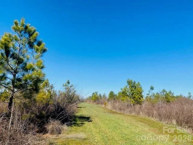 2200 Oweda Drive - Photo 11
