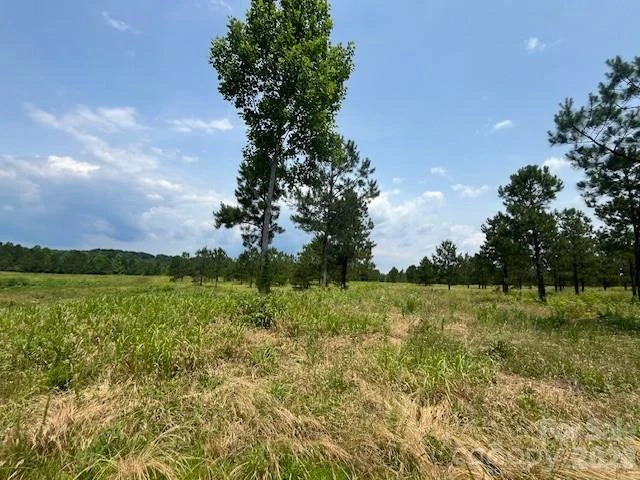 2200 Oweda Drive - Photo 12
